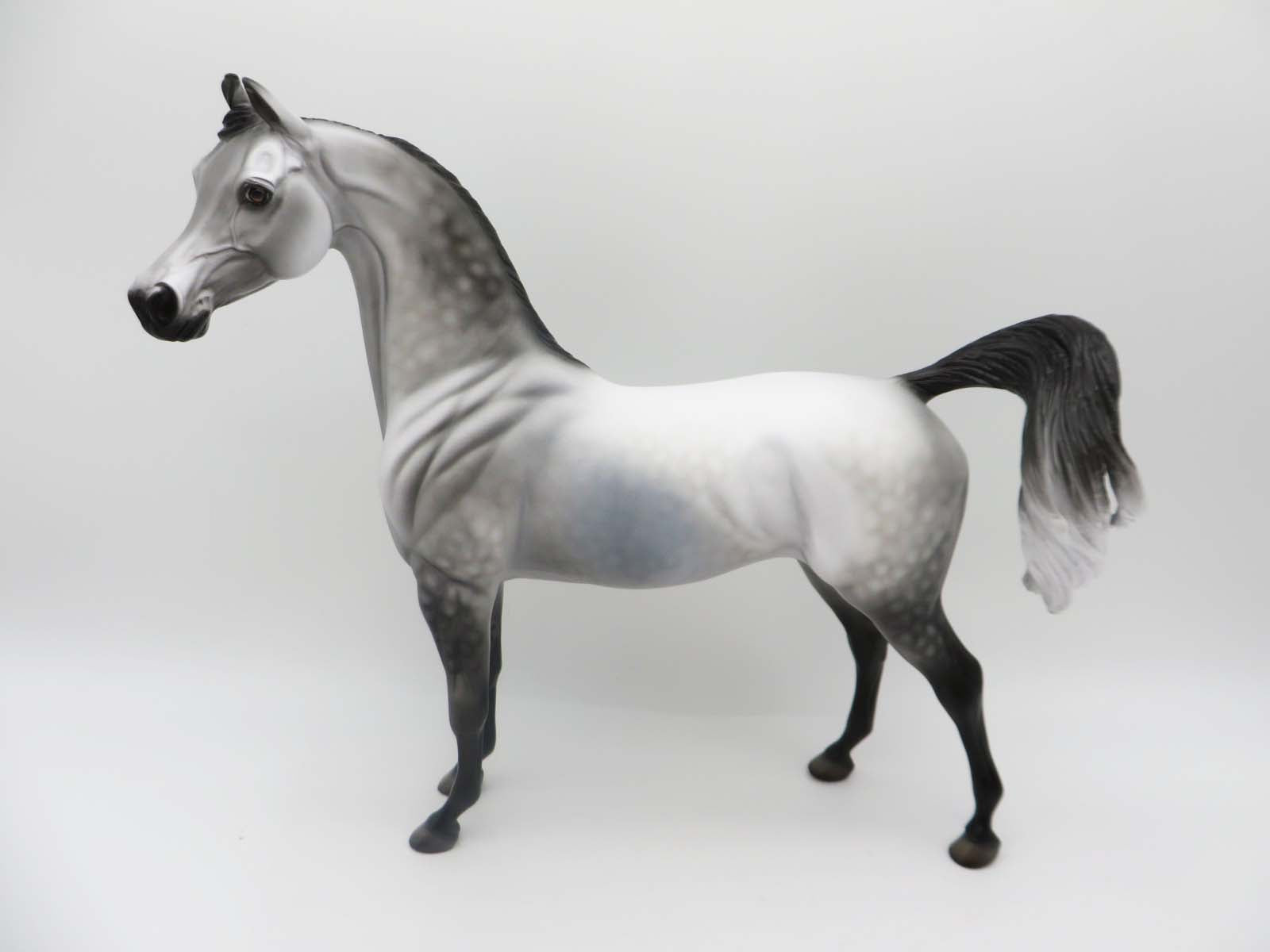JET-OOAK Dapple Grey Arabian by Dawn Quick P&amp;C 23