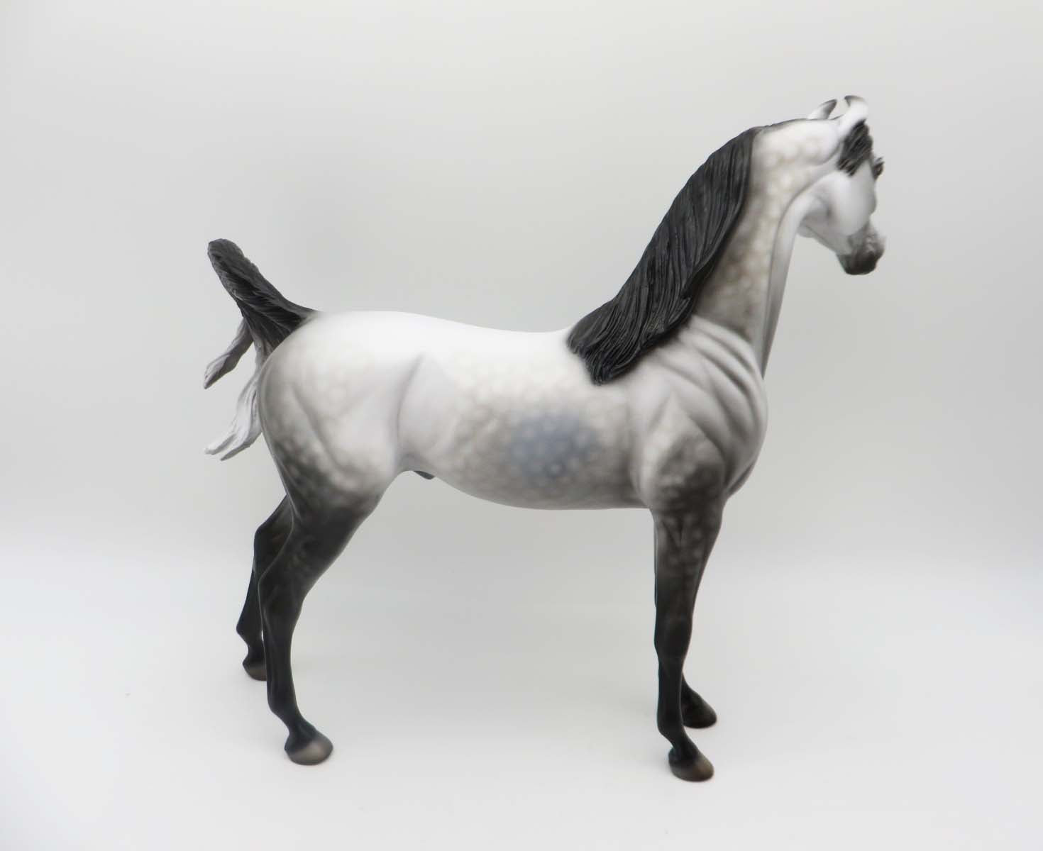JET-OOAK Dapple Grey Arabian by Dawn Quick P&amp;C 23