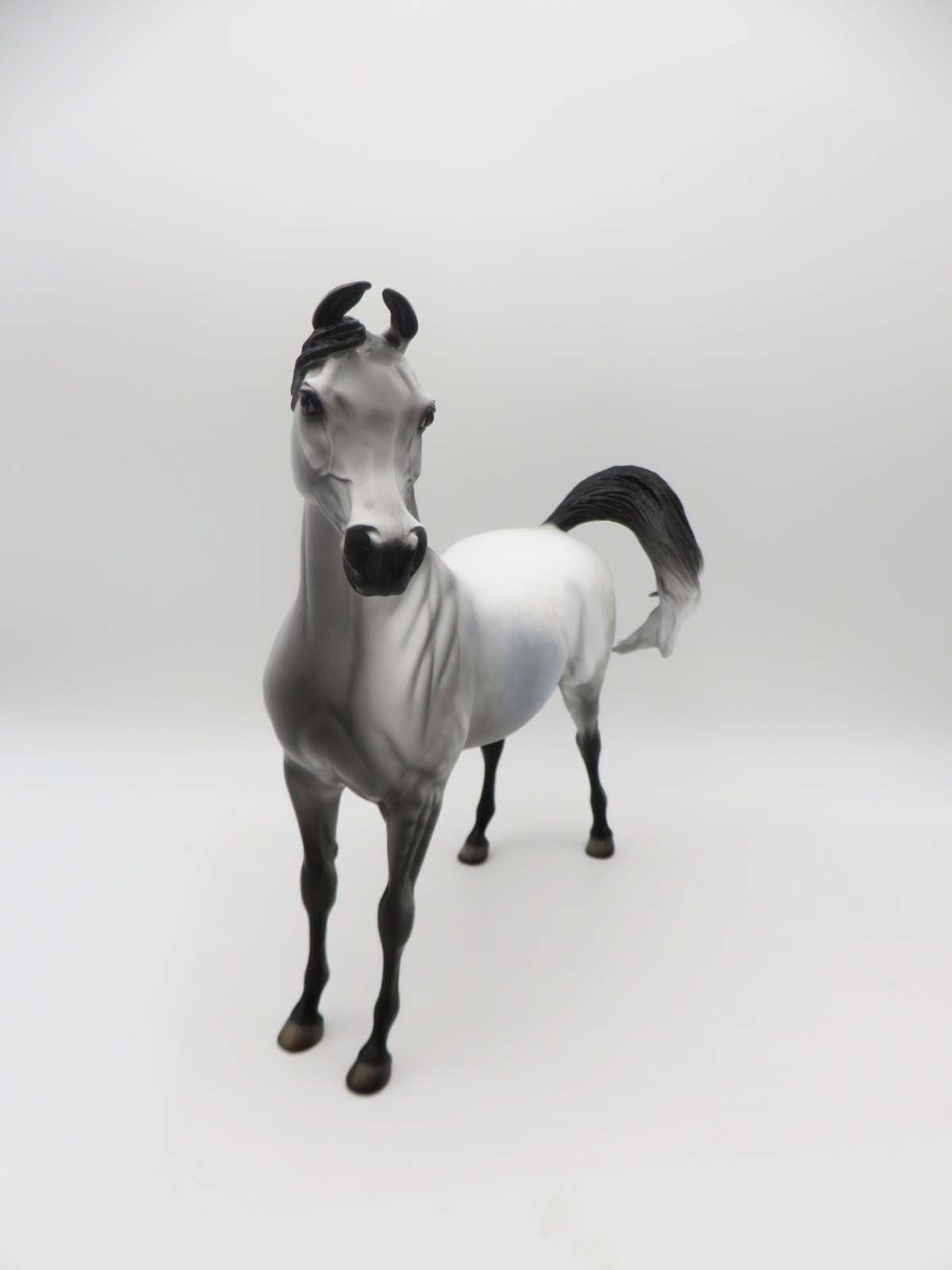 JET-OOAK Dapple Grey Arabian by Dawn Quick P&amp;C 23