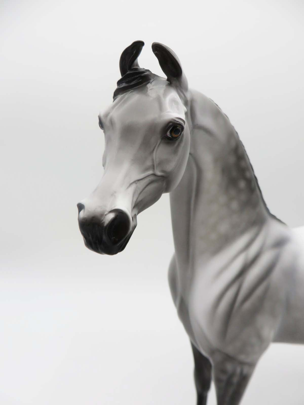 JET-OOAK Dapple Grey Arabian by Dawn Quick P&amp;C 23