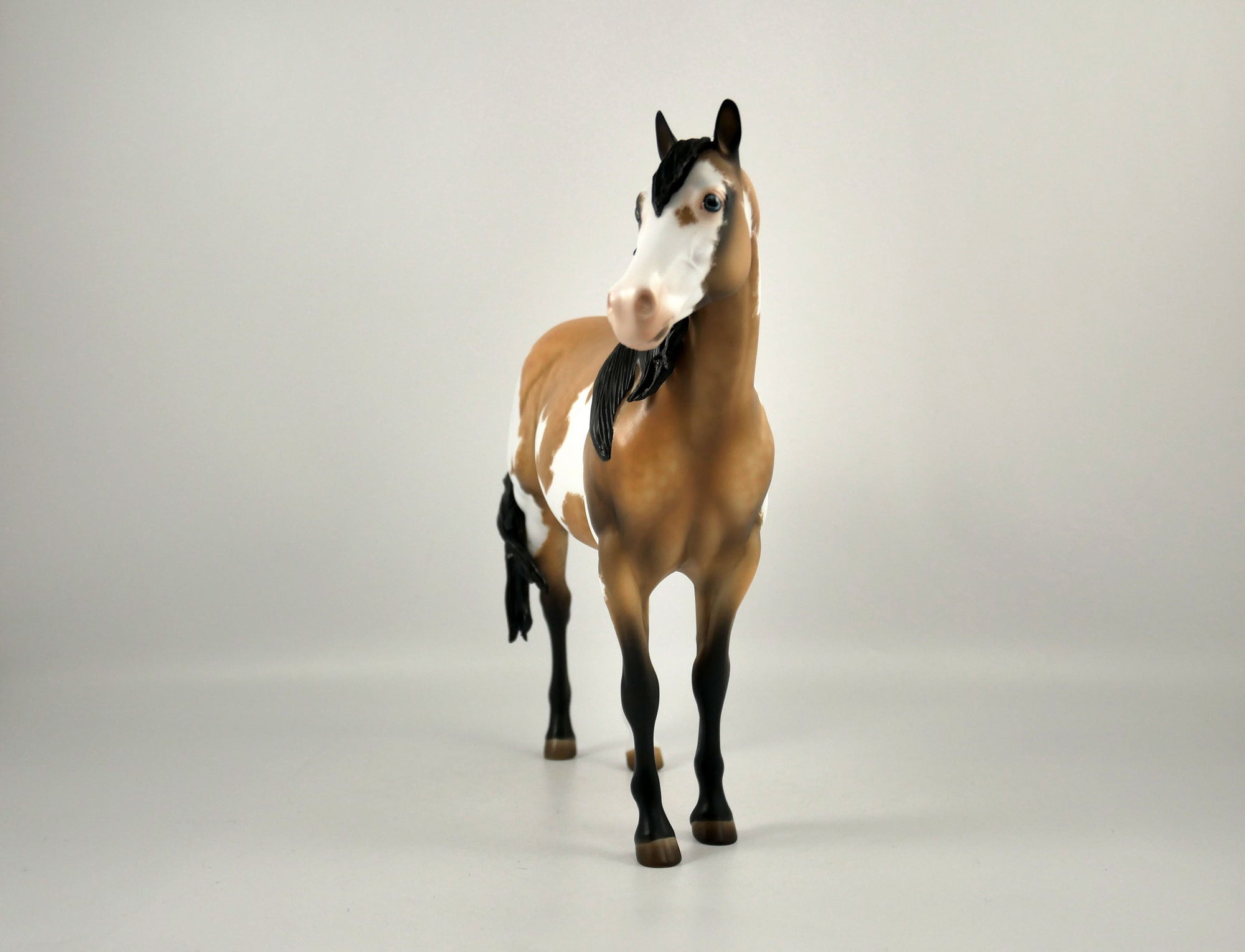 JINGLES-OOAK BUCKSKIN OVERO ISH BY JULIE KEIM 12/21/20