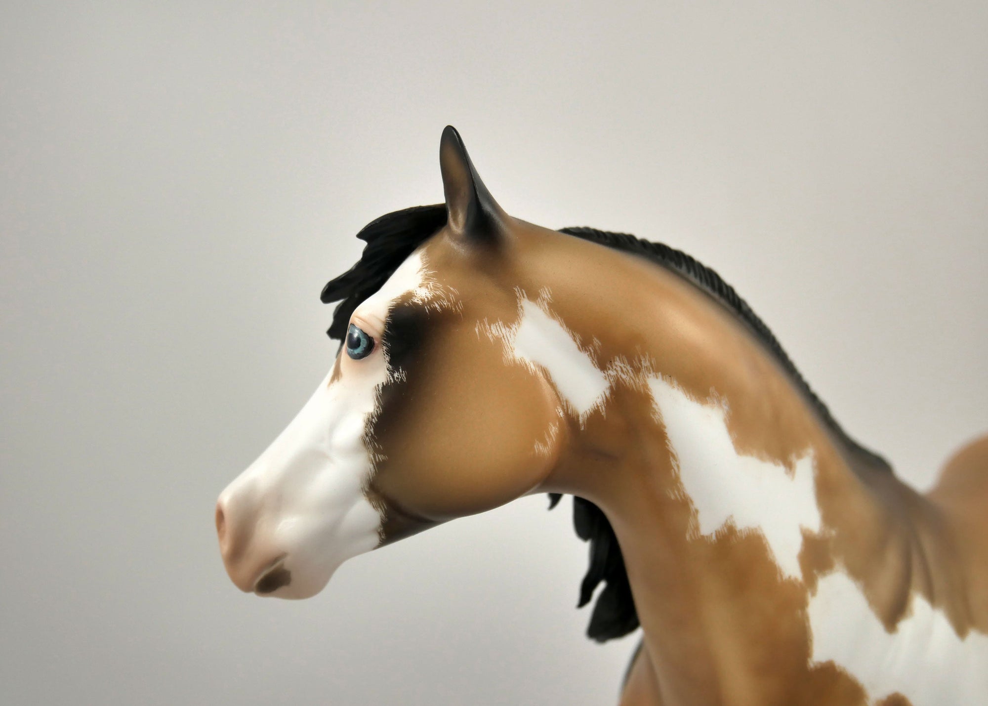 JINGLES-OOAK BUCKSKIN OVERO ISH BY JULIE KEIM 12/21/20