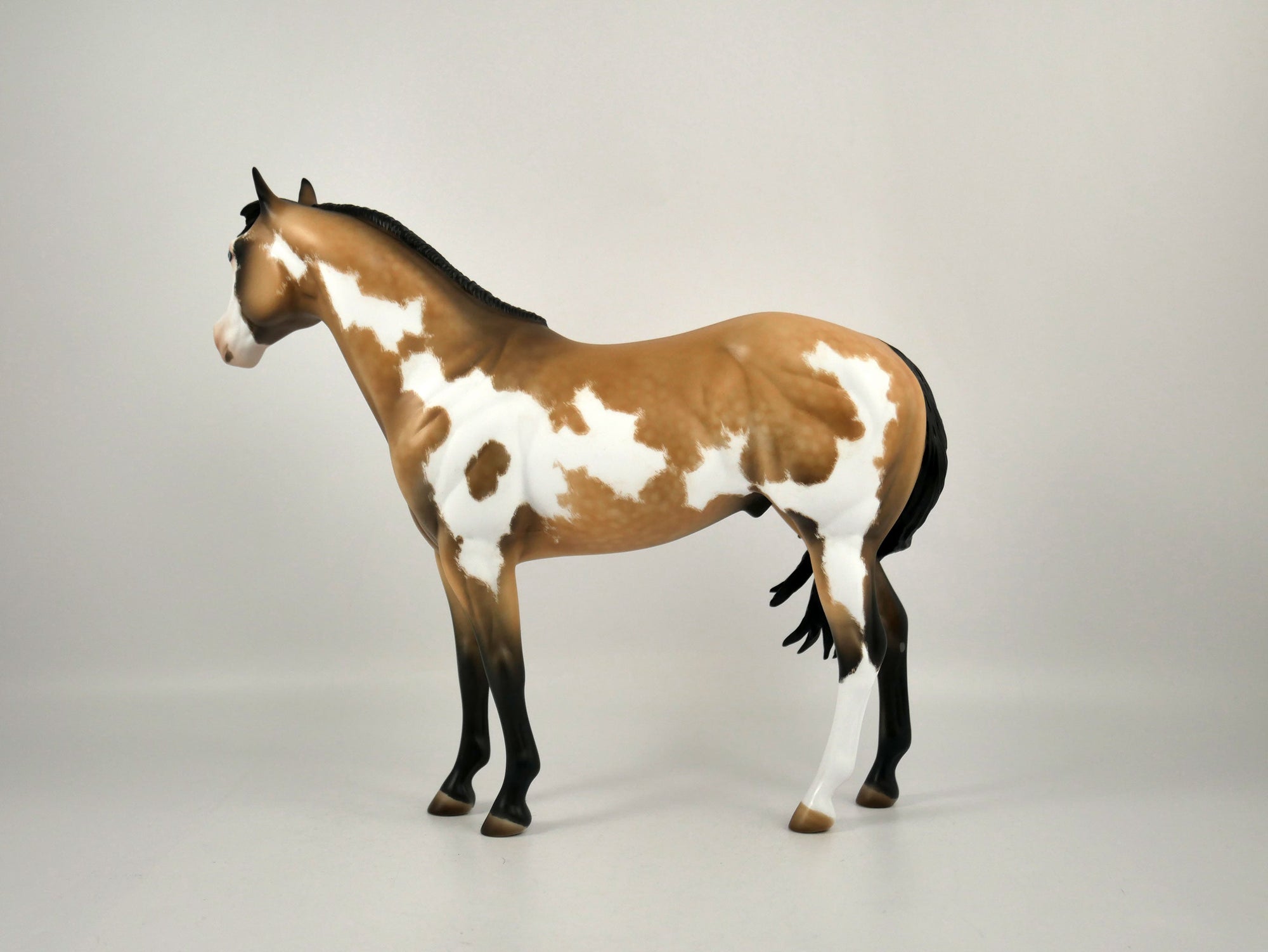 JINGLES-OOAK BUCKSKIN OVERO ISH BY JULIE KEIM 12/21/20