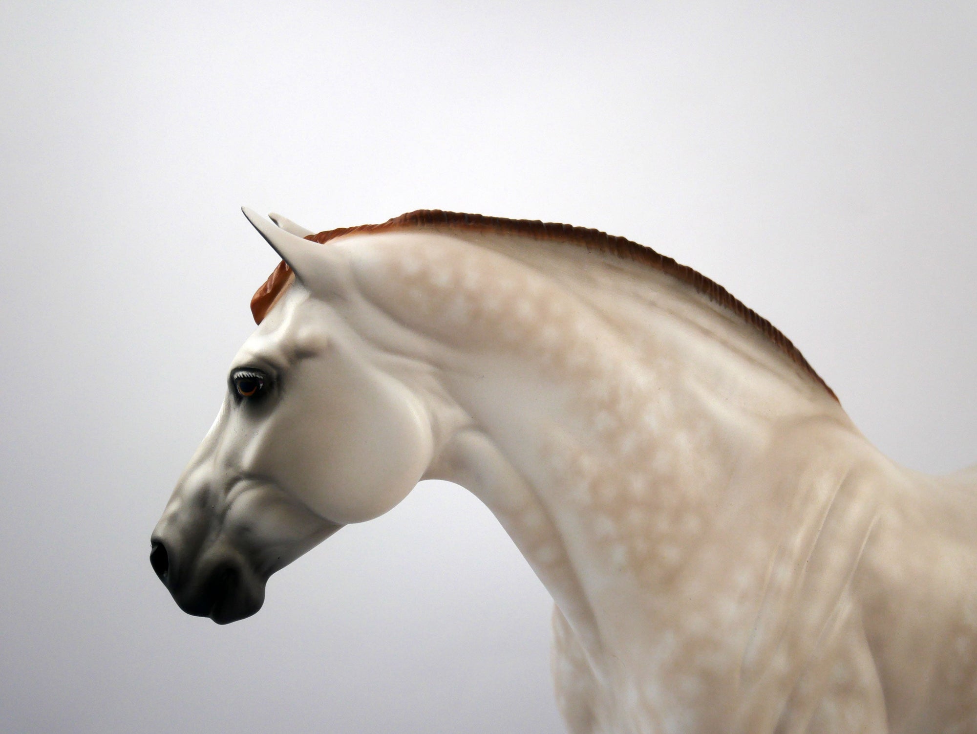 Joanie-OOAK Mulberry Grey Heavy Draft Mare Painted by Sheryl Leisure 1/20