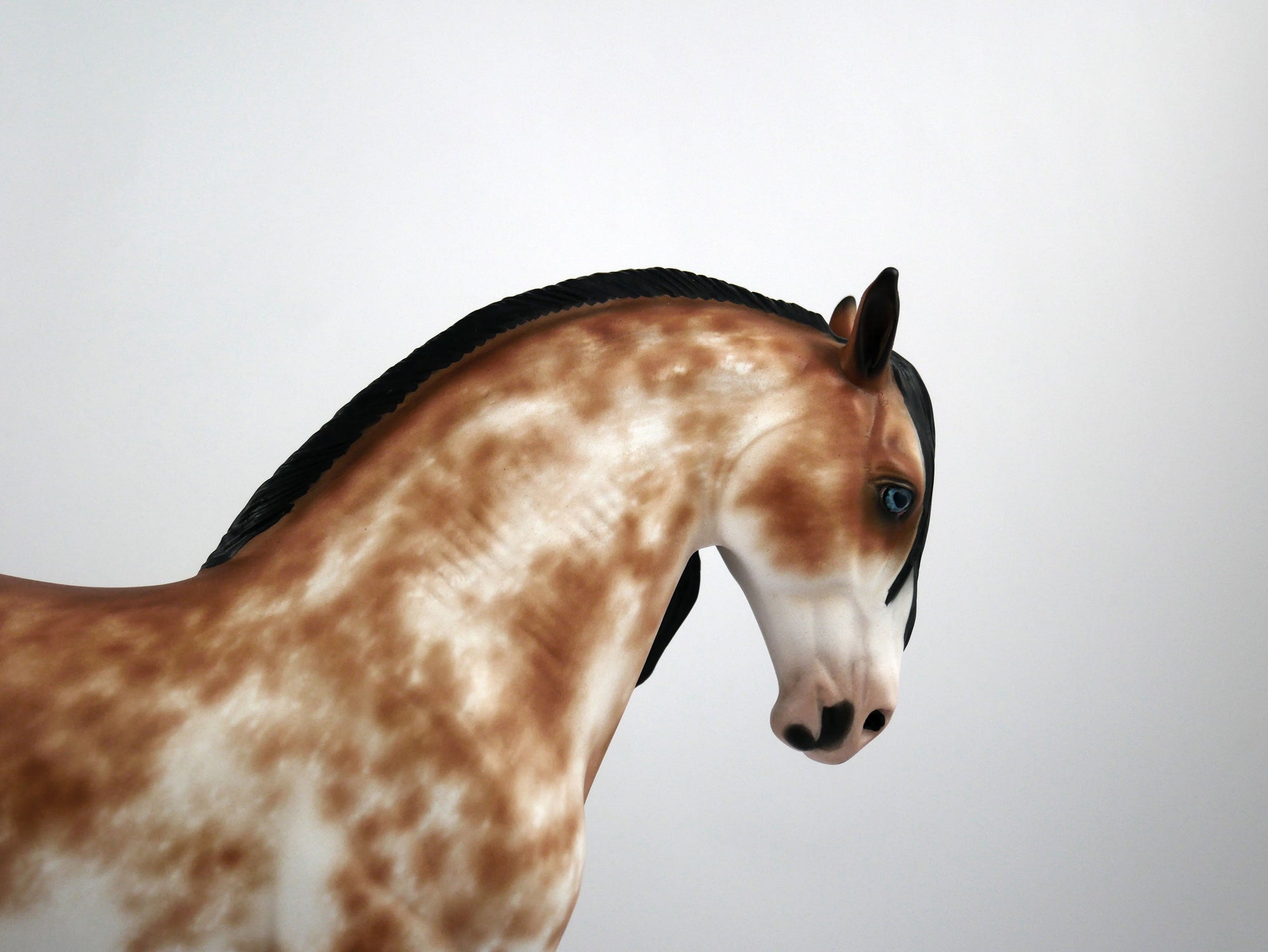 John Matrix-OOAK Bay Sabino Andalusian Painted By Sheryl Leisure 1/15/21