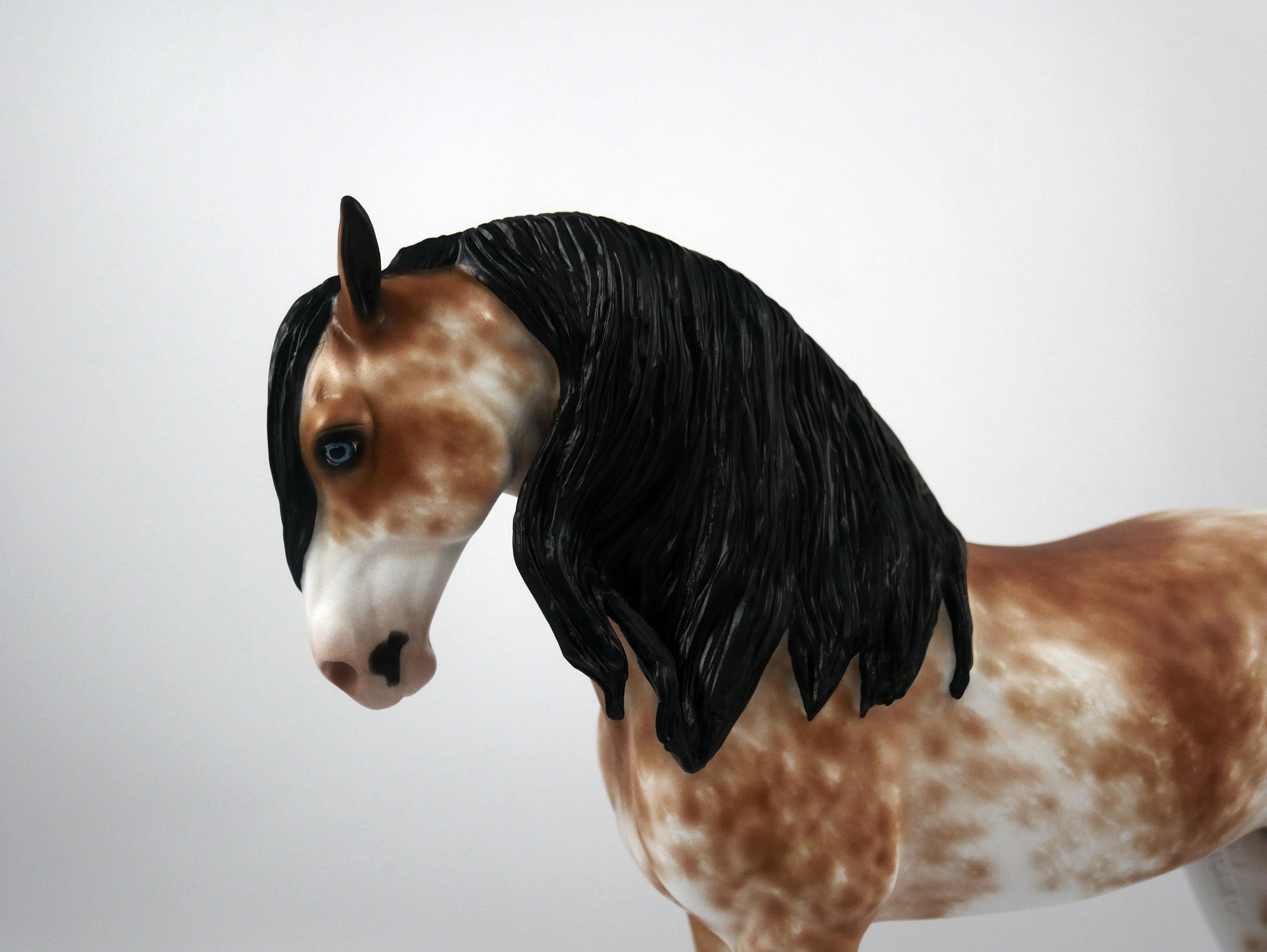 John Matrix-OOAK Bay Sabino Andalusian Painted By Sheryl Leisure 1/15/21