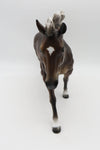 John Boy - OOAK - Silver Dapple Remington by Sheryl Leisure - Best Offers 12/12/22