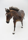 John Boy - OOAK - Silver Dapple Remington by Sheryl Leisure - Best Offers 12/12/22