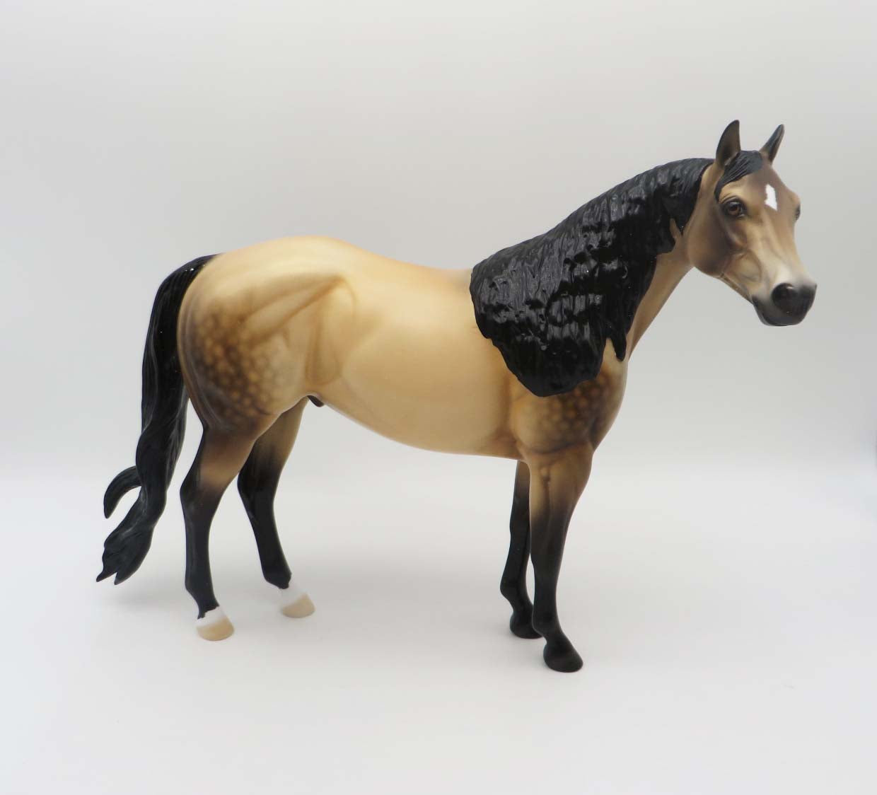 SAMPLE of Dutton Customized Dappled Sooty Buckskin Ideal Stock Horse By Ellen Robbins