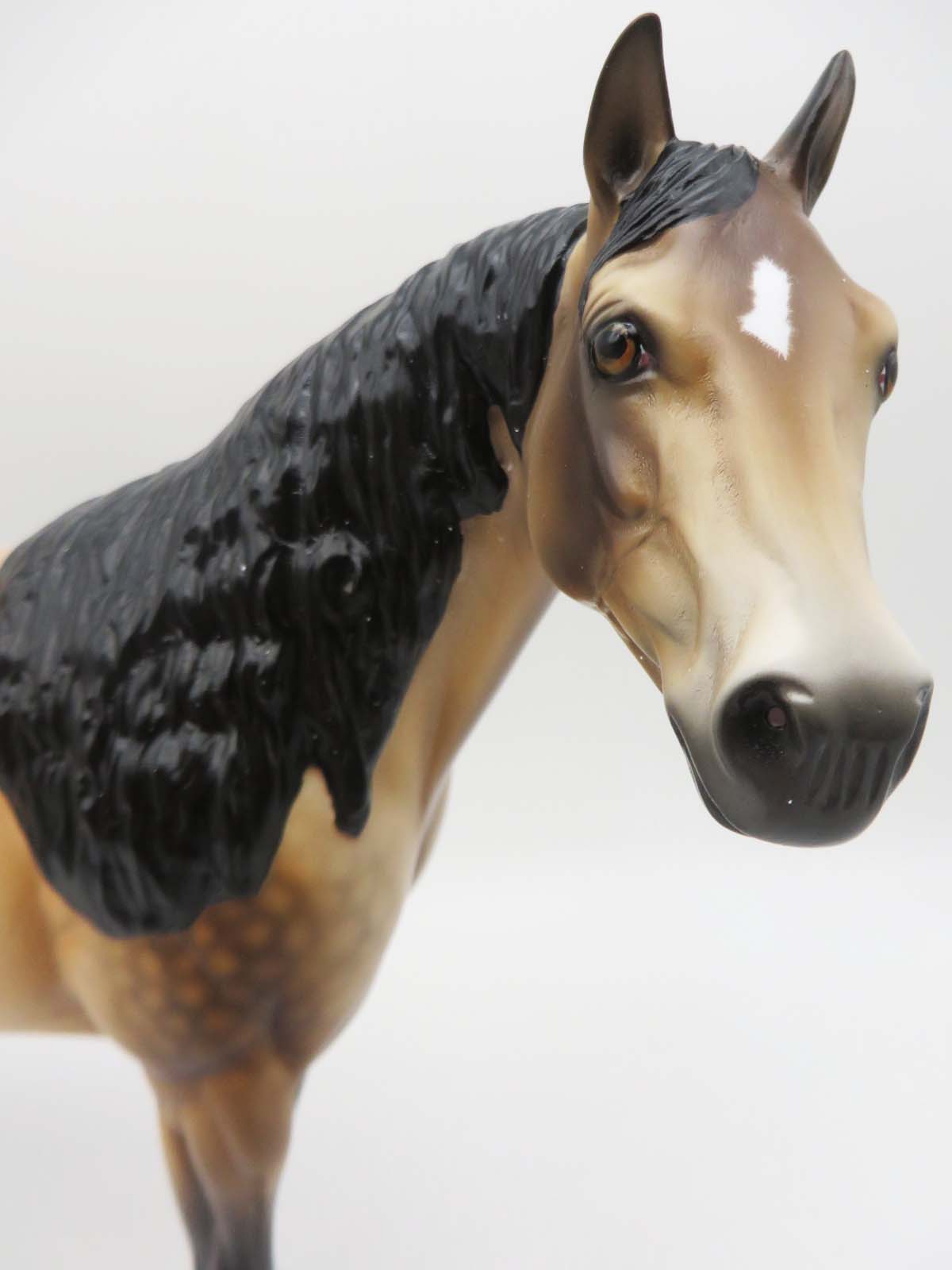 SAMPLE of Dutton Customized Dappled Sooty Buckskin Ideal Stock Horse By Ellen Robbins