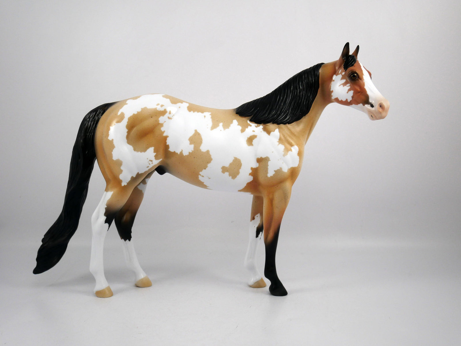 Johnny-OOAK Roan Paint ISH by Ellen 1/29/21