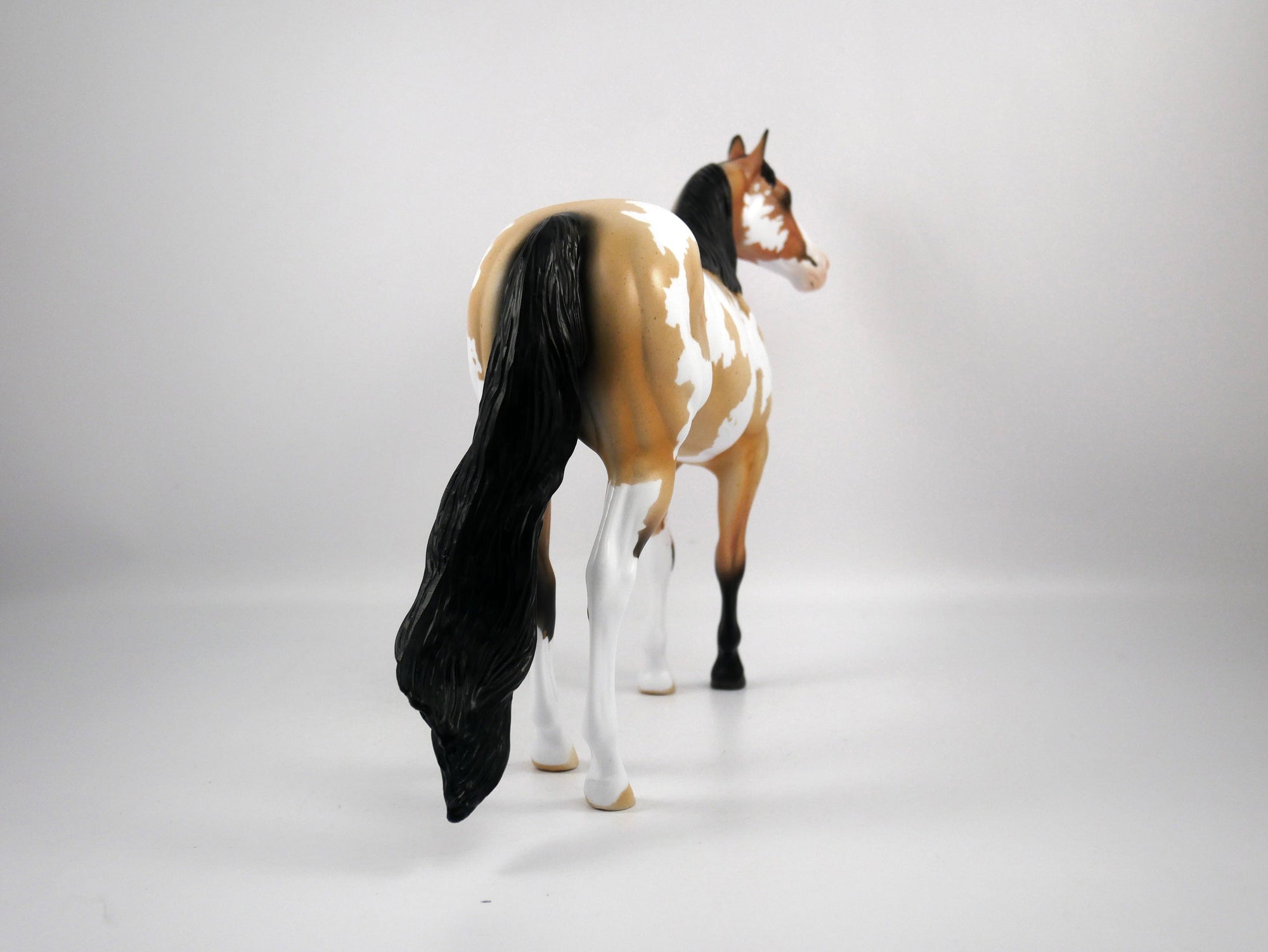 Johnny-OOAK Roan Paint ISH by Ellen 1/29/21