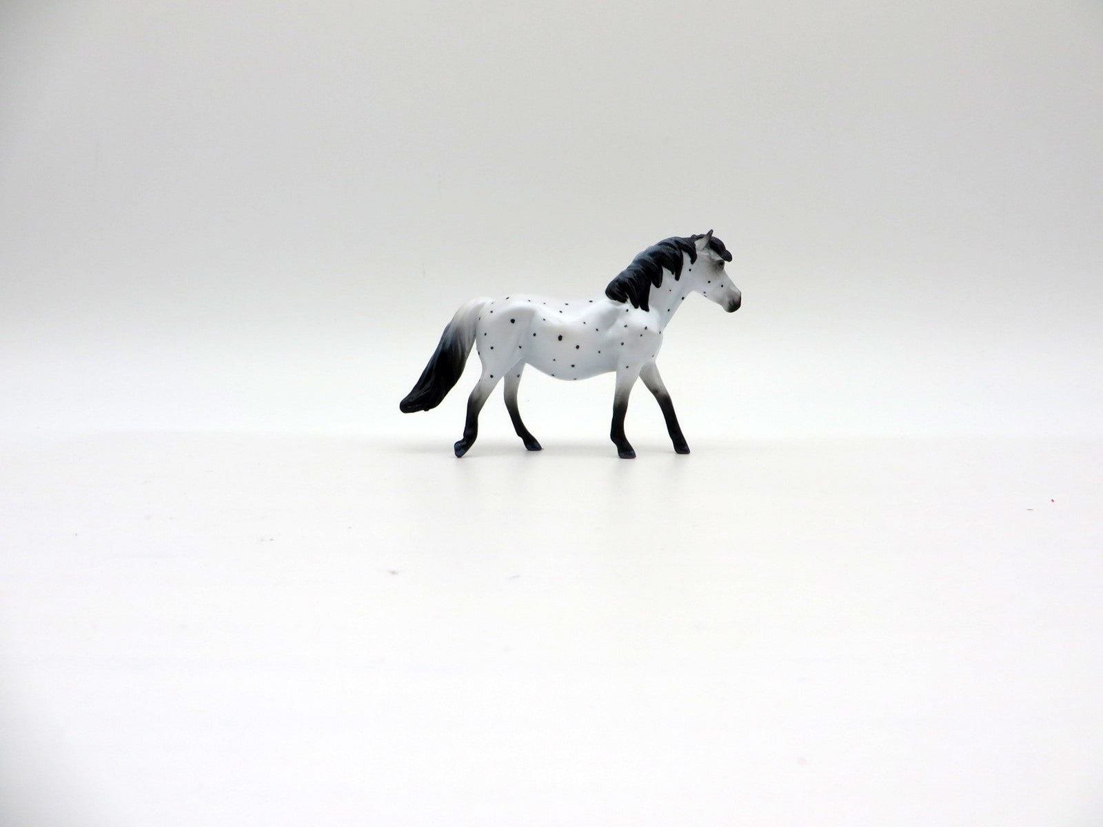 Jorunna-OOAK Deco Pony Chip Shark Week 7/12/21