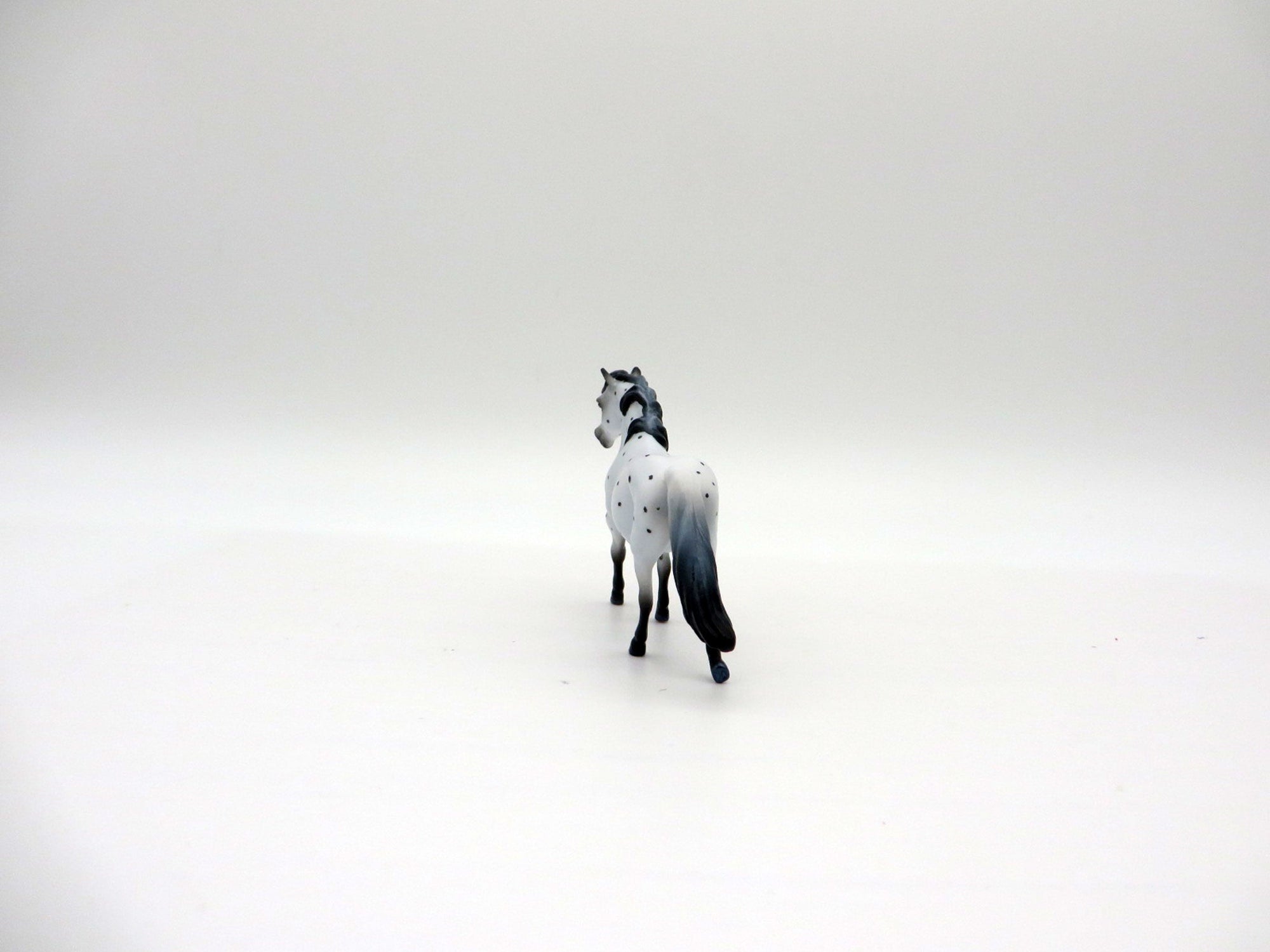 Jorunna-OOAK Deco Pony Chip Shark Week 7/12/21