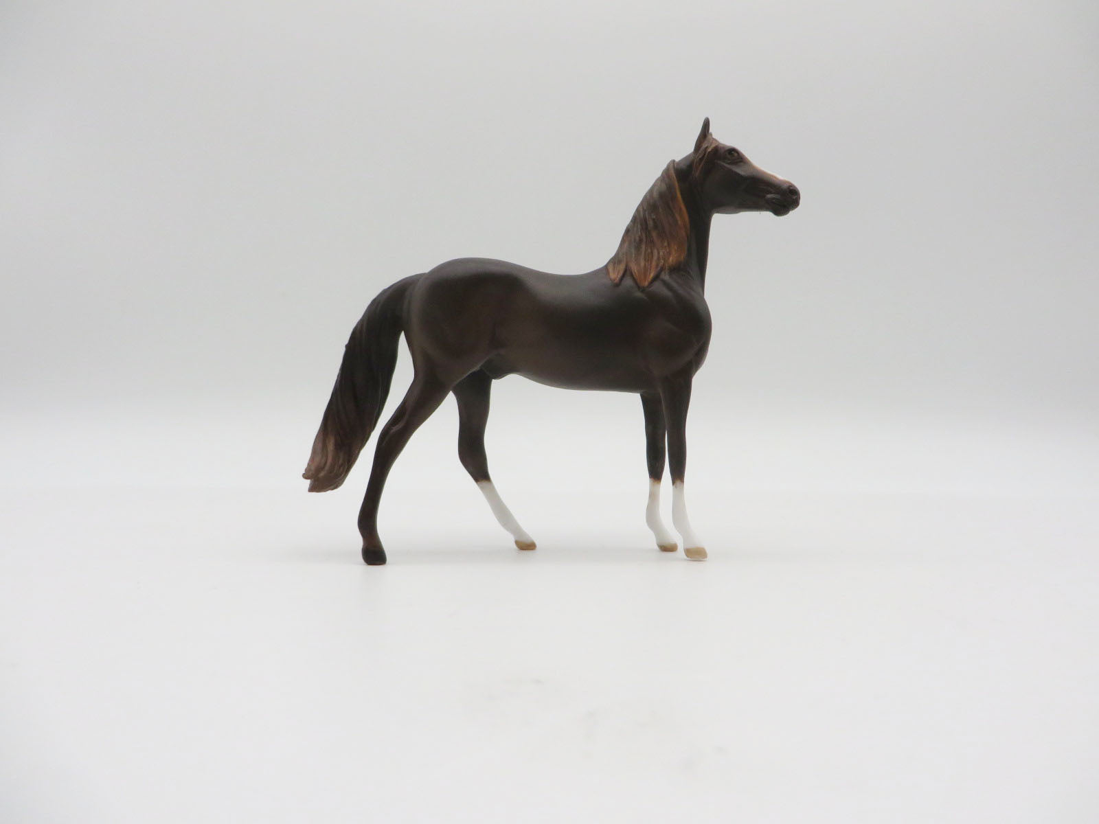 JoshuaTree - OOAK Liver Chestnut Morgan Chip by Andrea LHS 22