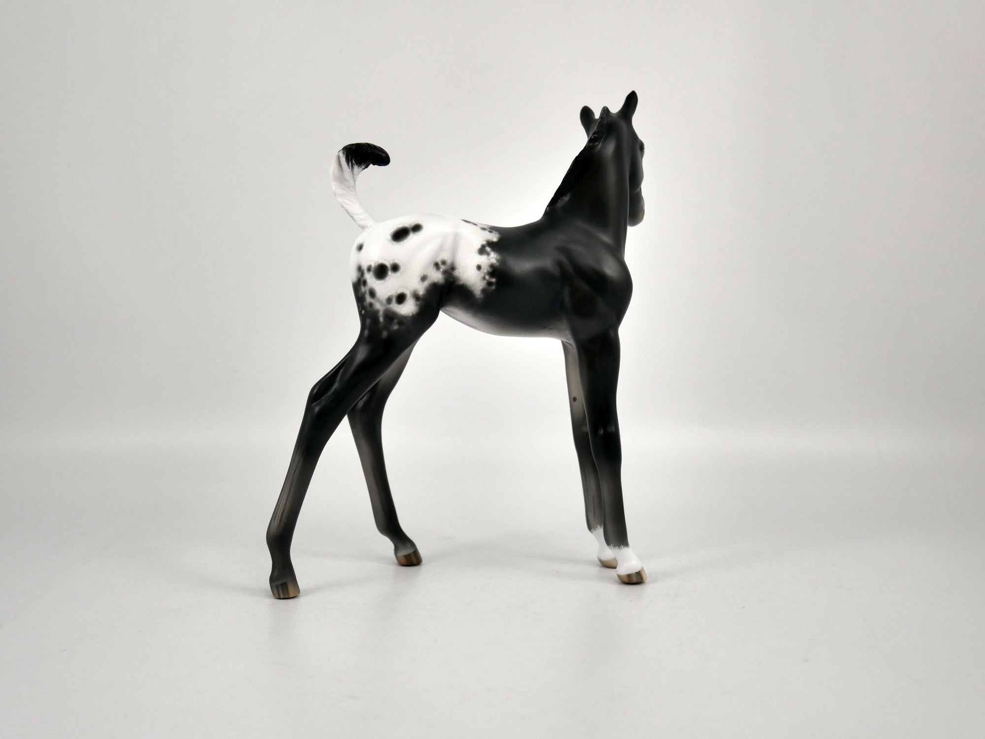 Joy-Appaloosa Foal By Sheryl Leisure 12/21/20