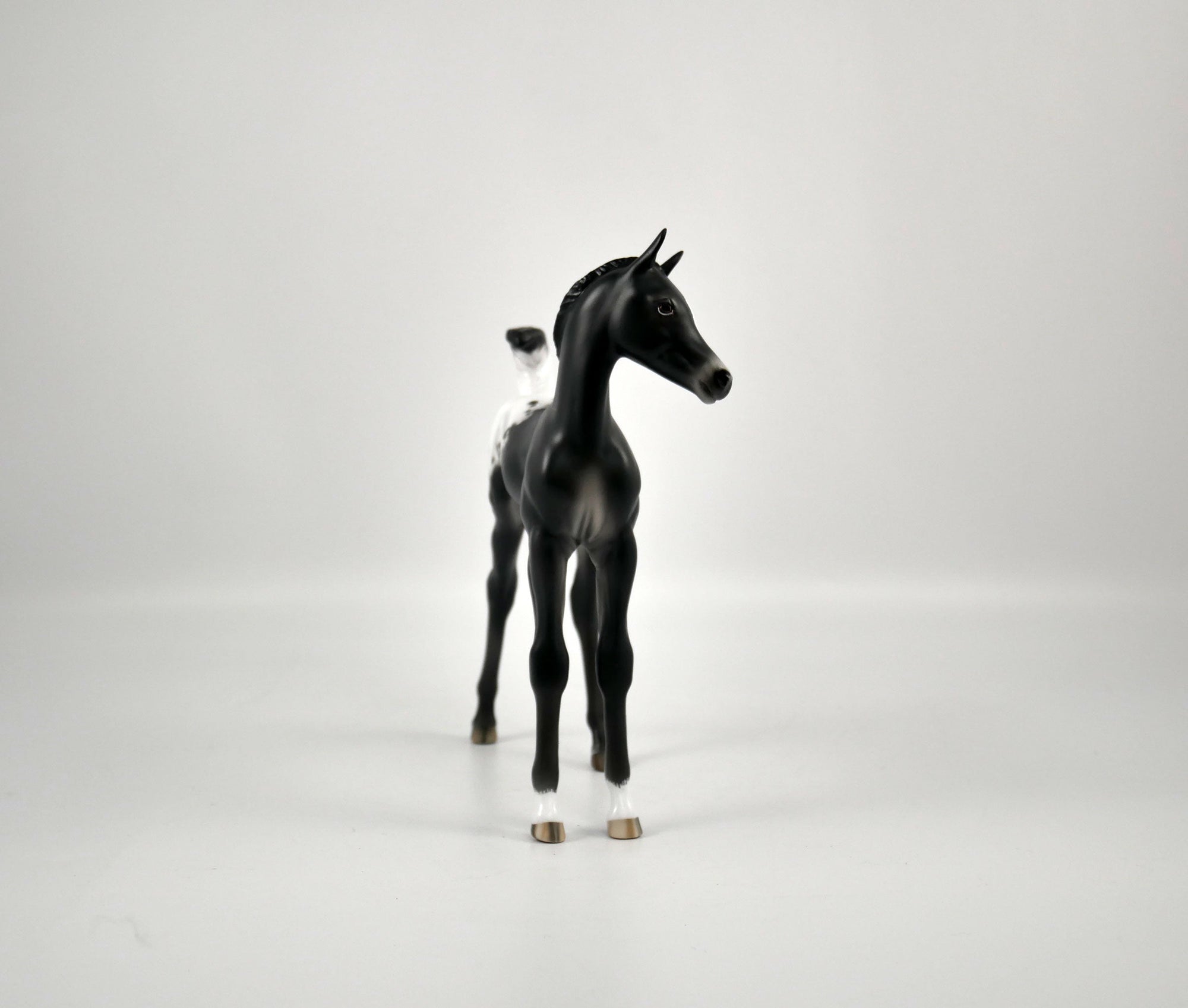 Joy-Appaloosa Foal By Sheryl Leisure 12/21/20