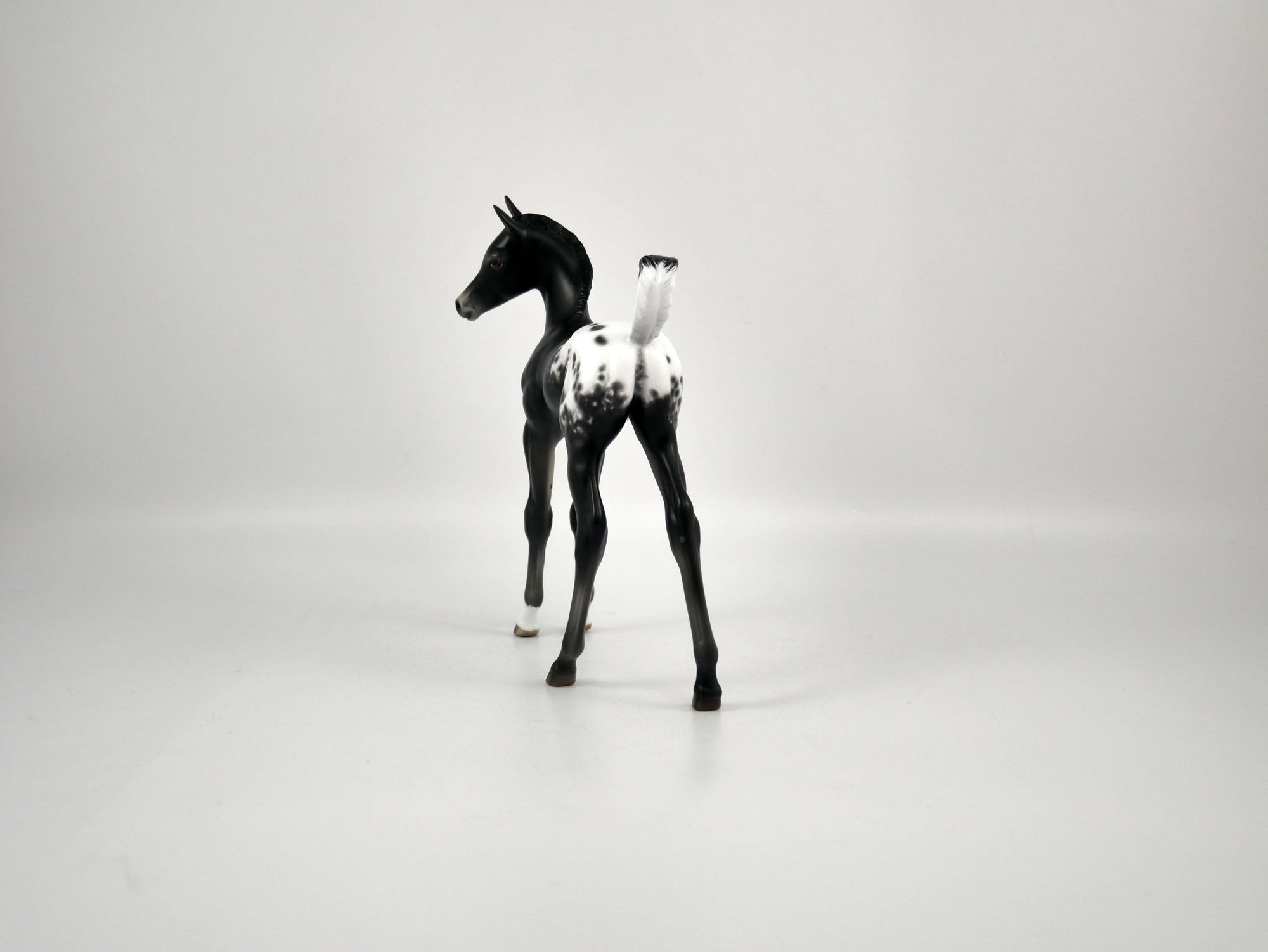 Joy-Appaloosa Foal By Sheryl Leisure 12/21/20