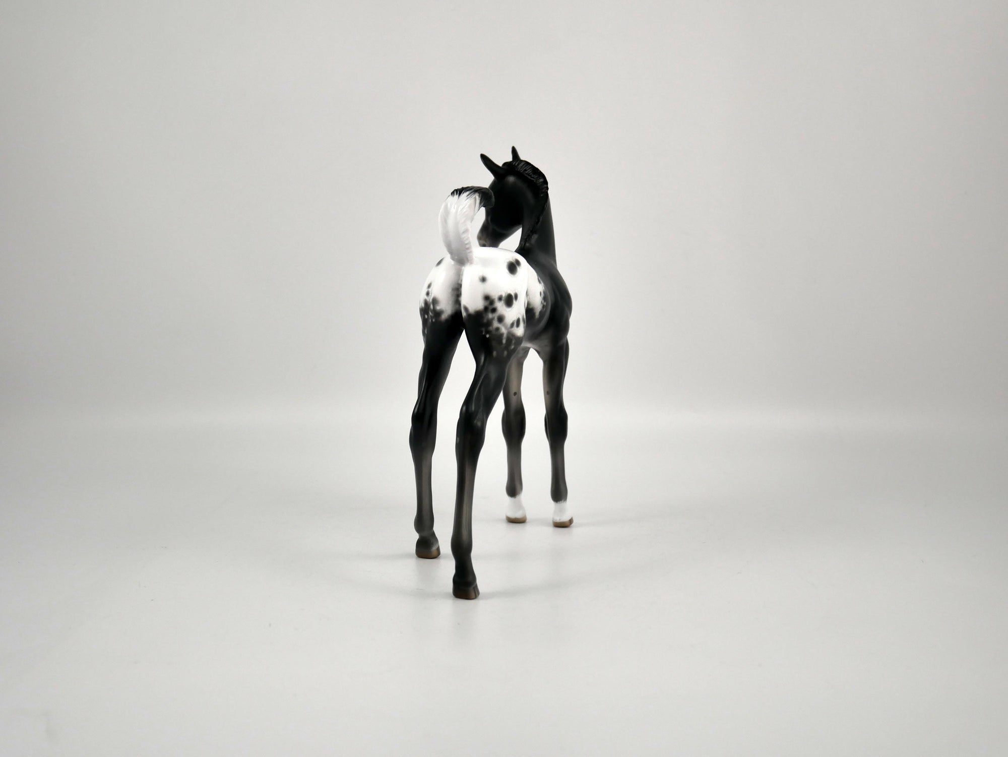 Joy-Appaloosa Foal By Sheryl Leisure 12/21/20