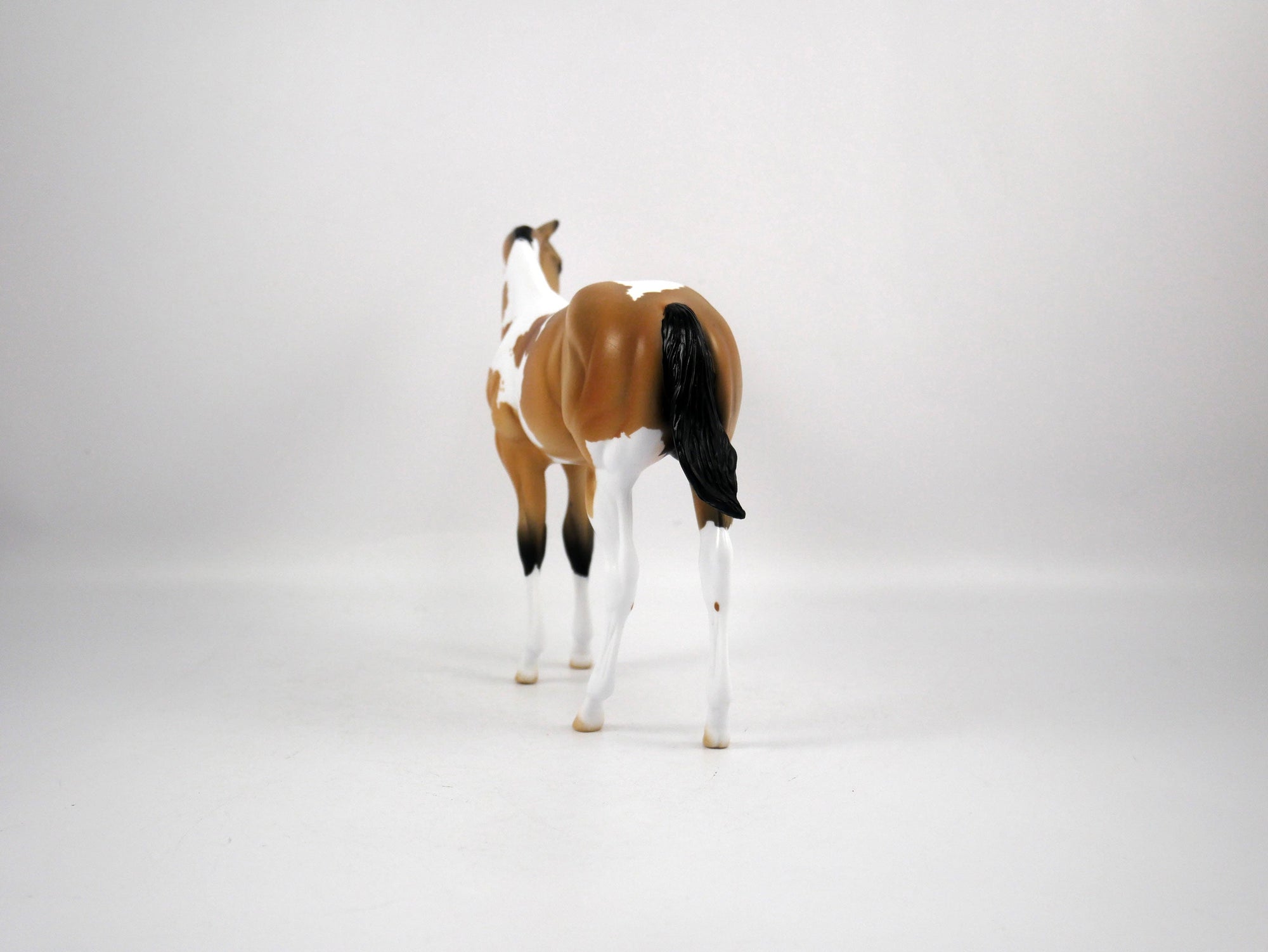 Juice-OOAK Weanling Buckskin Paint by Ellen 1/29/21