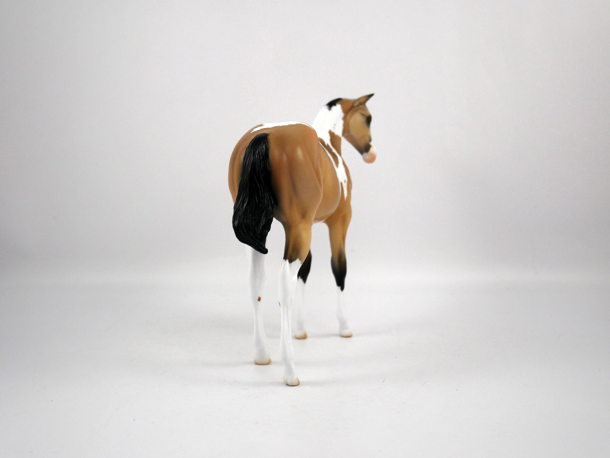Juice-OOAK Weanling Buckskin Paint by Ellen 1/29/21