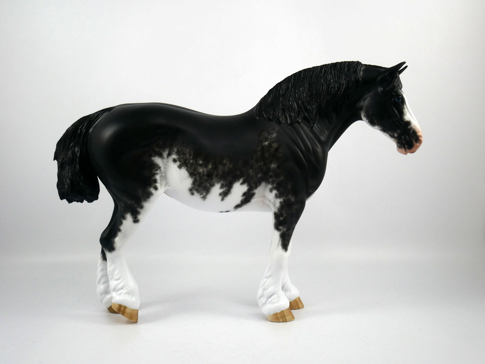 Jupiter Jones-OOAK Black Sabino Heavy Draft  Painted By Sheryl Leisure 1/15/21