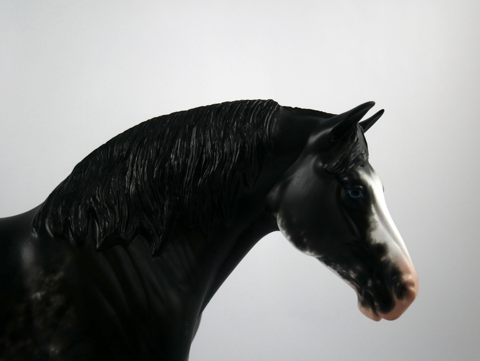 Jupiter Jones-OOAK Black Sabino Heavy Draft  Painted By Sheryl Leisure 1/15/21