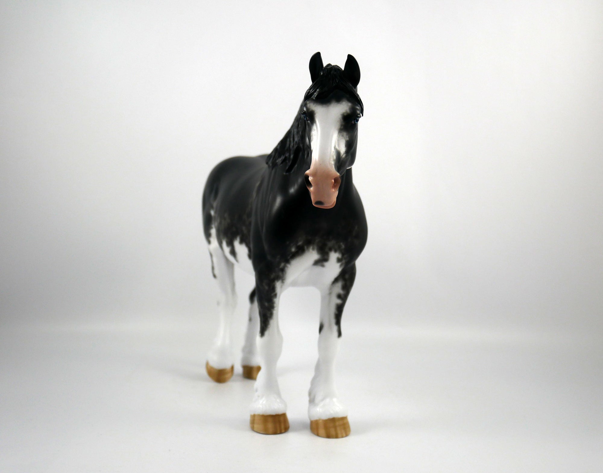 Jupiter Jones-OOAK Black Sabino Heavy Draft  Painted By Sheryl Leisure 1/15/21