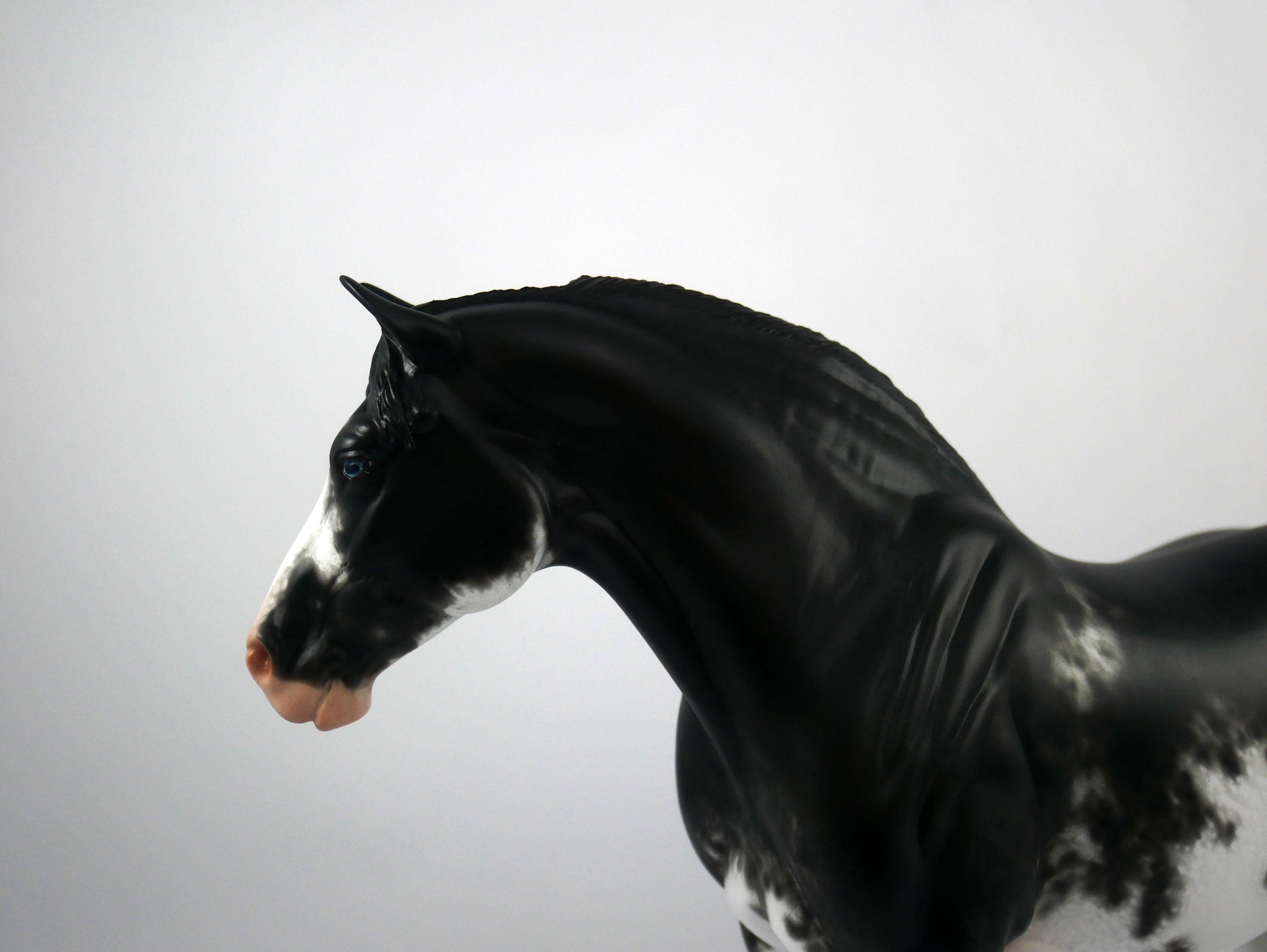 Jupiter Jones-OOAK Black Sabino Heavy Draft  Painted By Sheryl Leisure 1/15/21