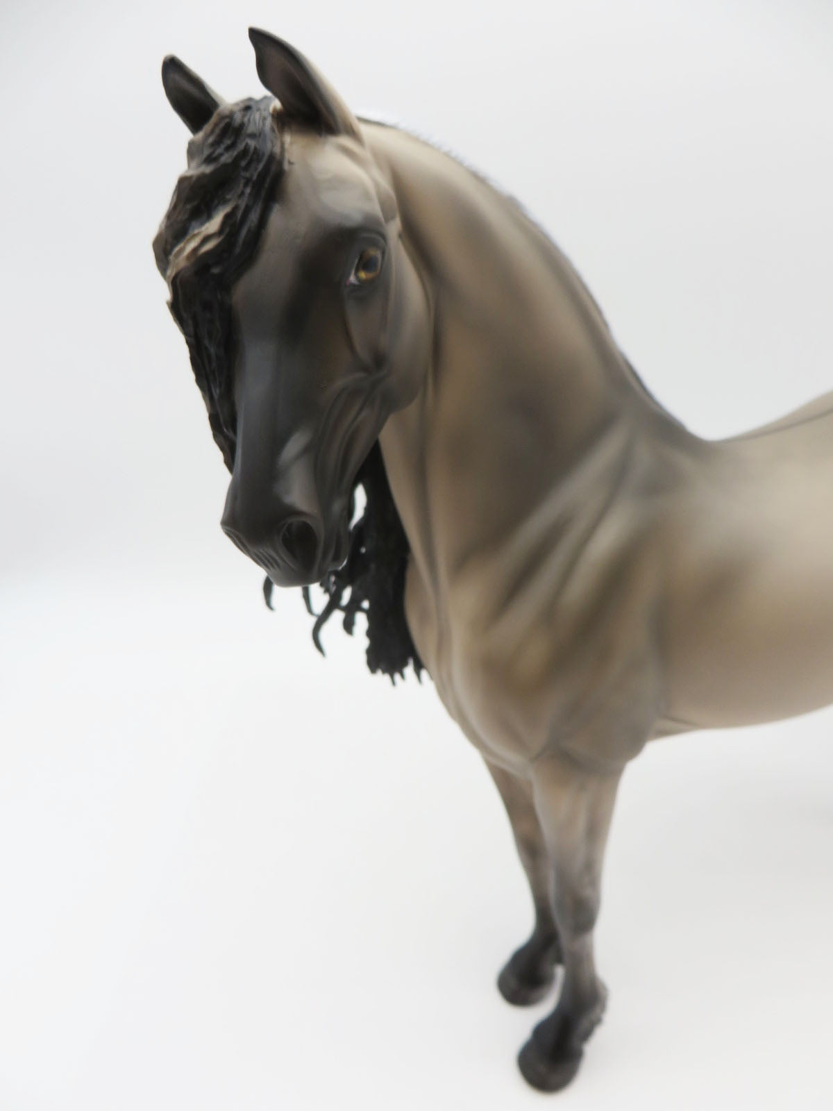 Knight Report-OOAK Buckskin Fresian By Myla Pearce 9/26/22