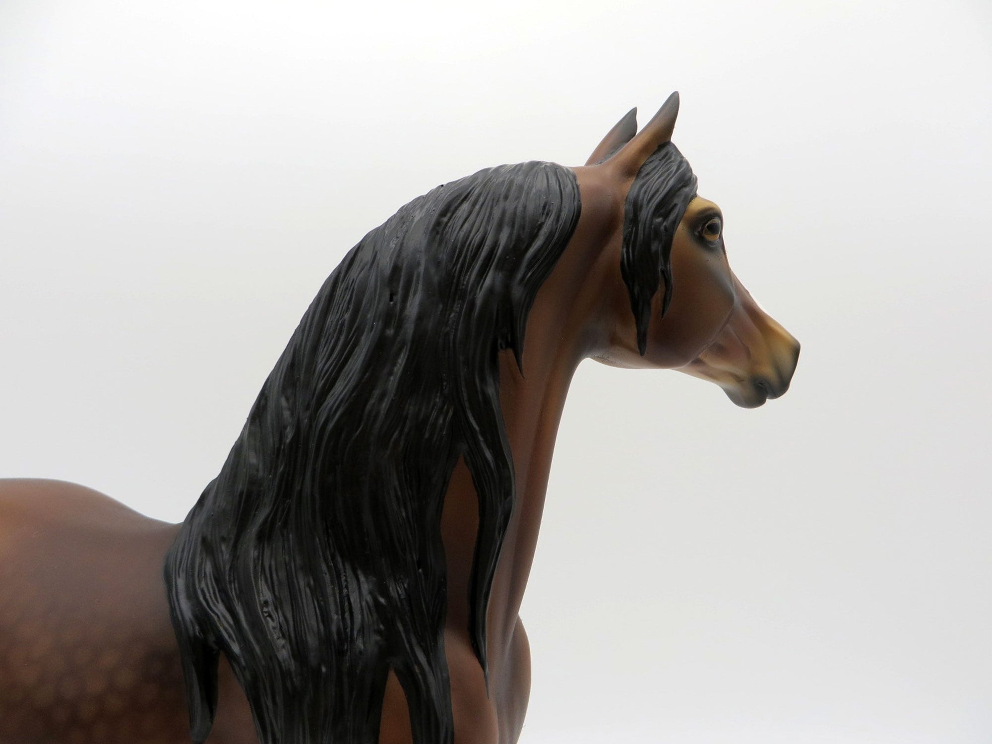 Kaboodle-OOAK Dapple Bay Morgan Painted By Audrey Dixon  EQ 21