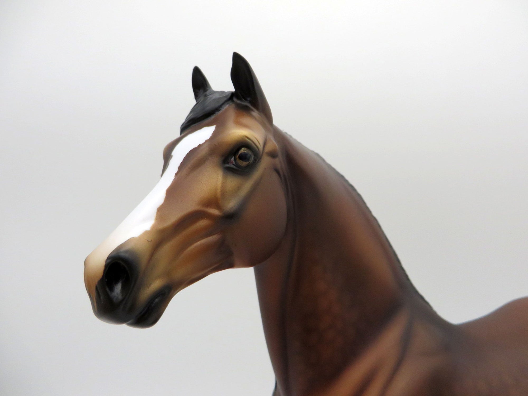 Kaboodle-OOAK Dapple Bay Morgan Painted By Audrey Dixon  EQ 21