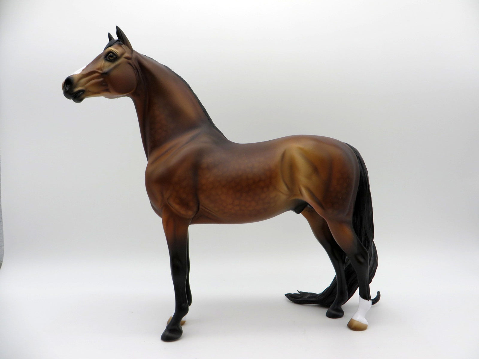 Kaboodle-OOAK Dapple Bay Morgan Painted By Audrey Dixon  EQ 21