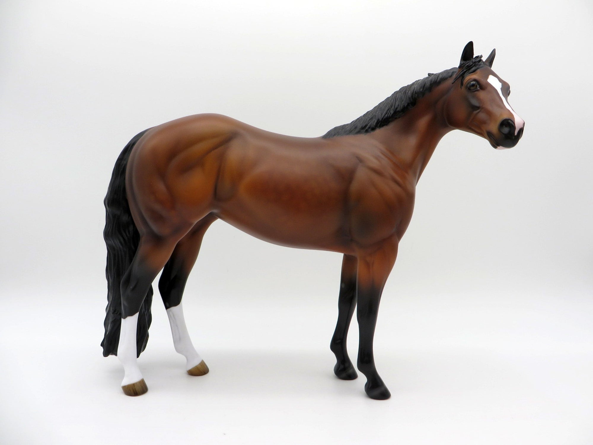 Kahlo- OOAK Dapple Bay ISH  Equilocity 2021 Painted by Audrey Dixon