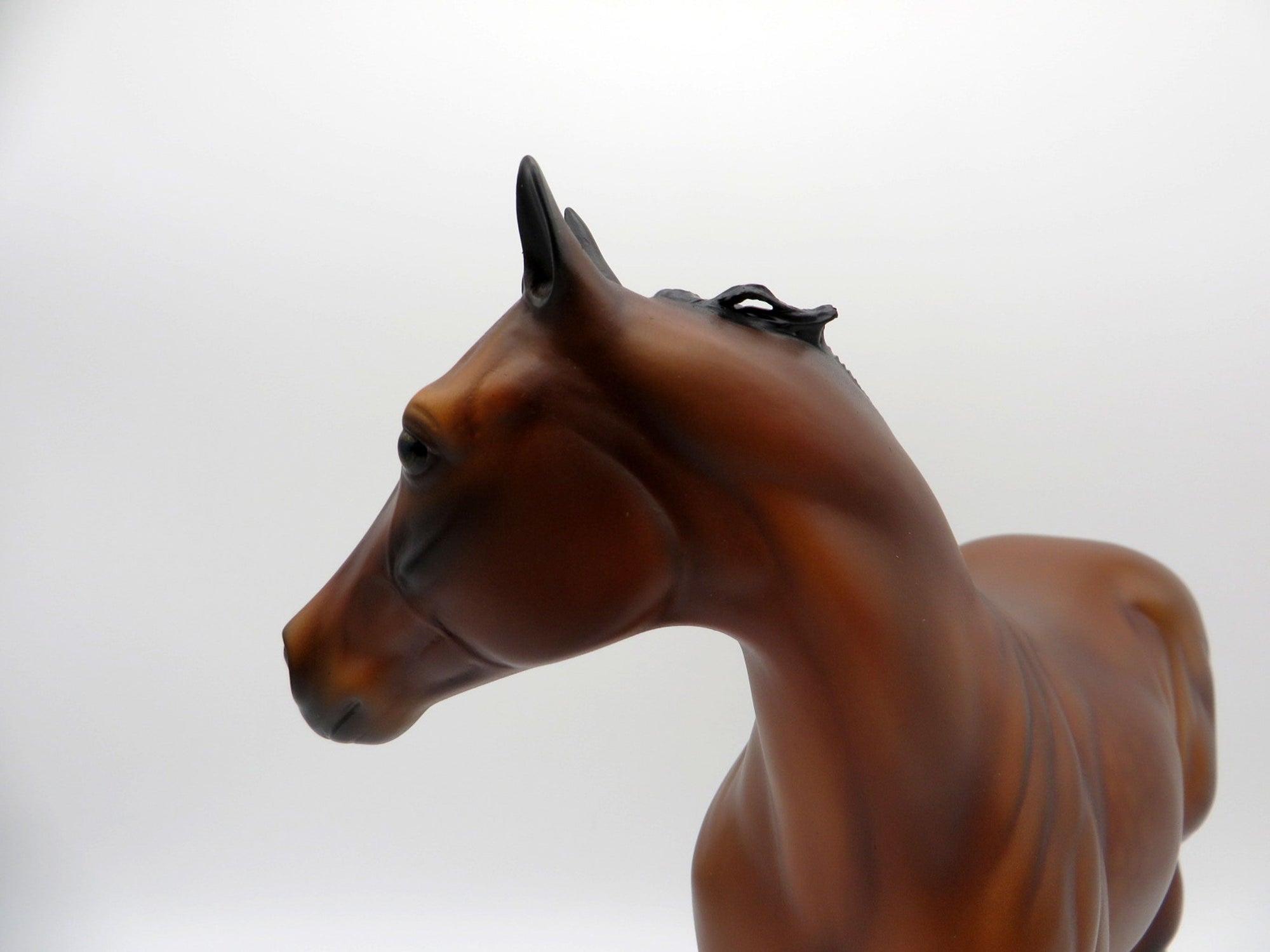 Kahlo- OOAK Dapple Bay ISH  Equilocity 2021 Painted by Audrey Dixon