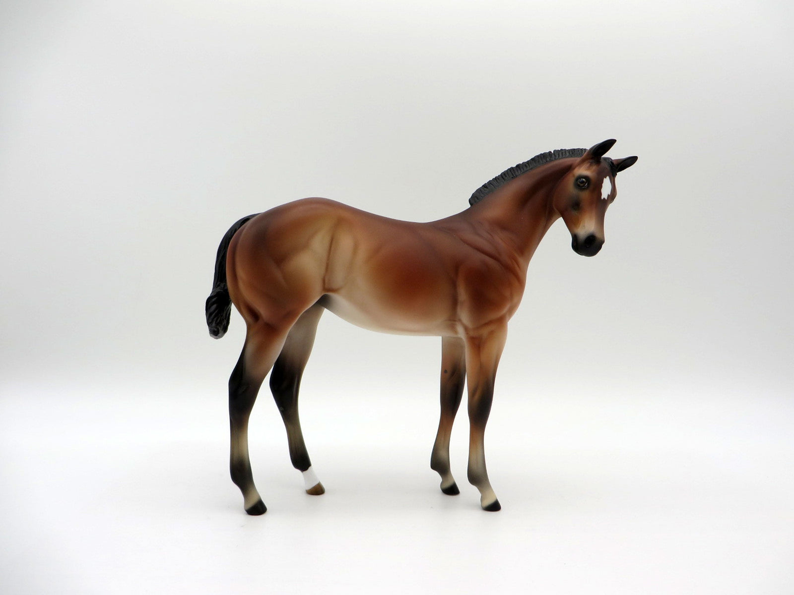 Kai-OOAK Bay Weanling-SHCF 2021