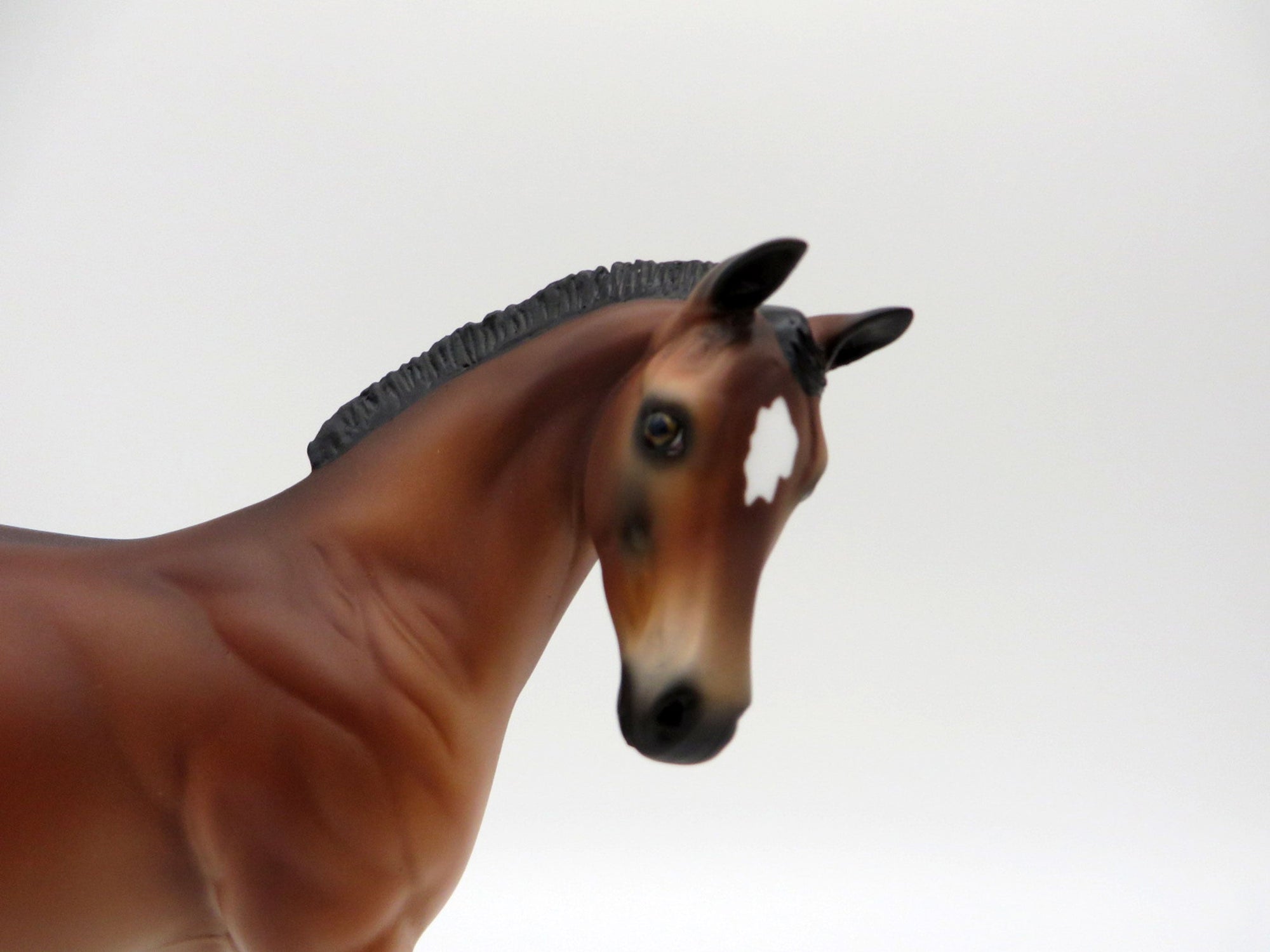 Kai-OOAK Bay Weanling-SHCF 2021