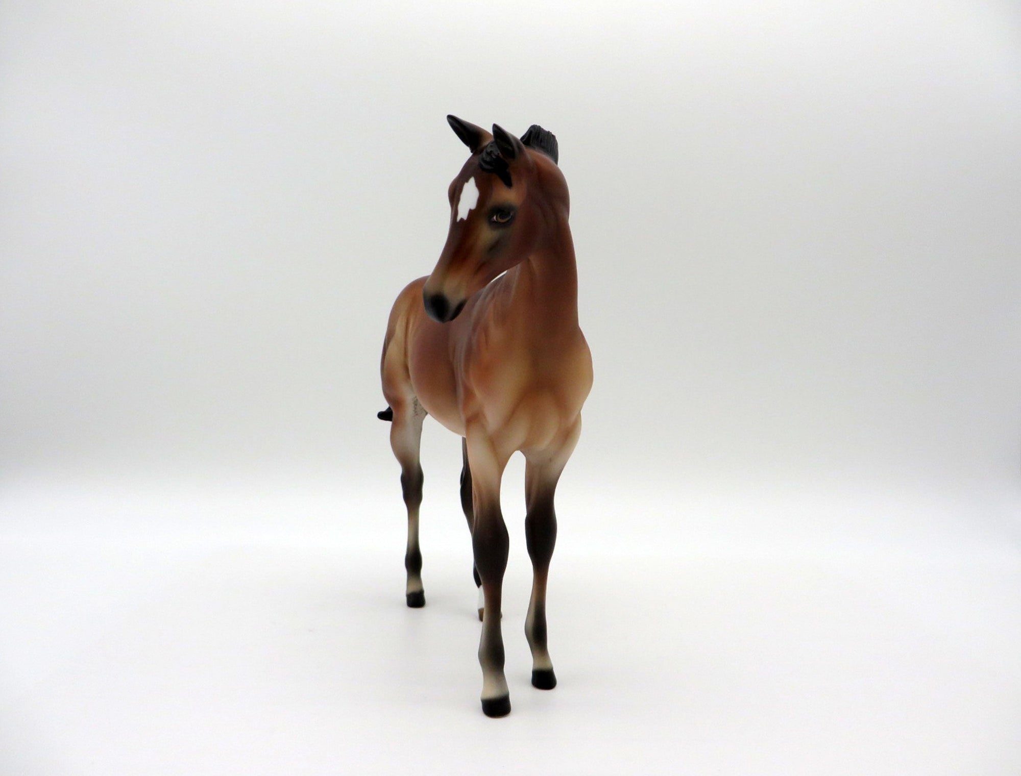 Kai-OOAK Bay Weanling-SHCF 2021