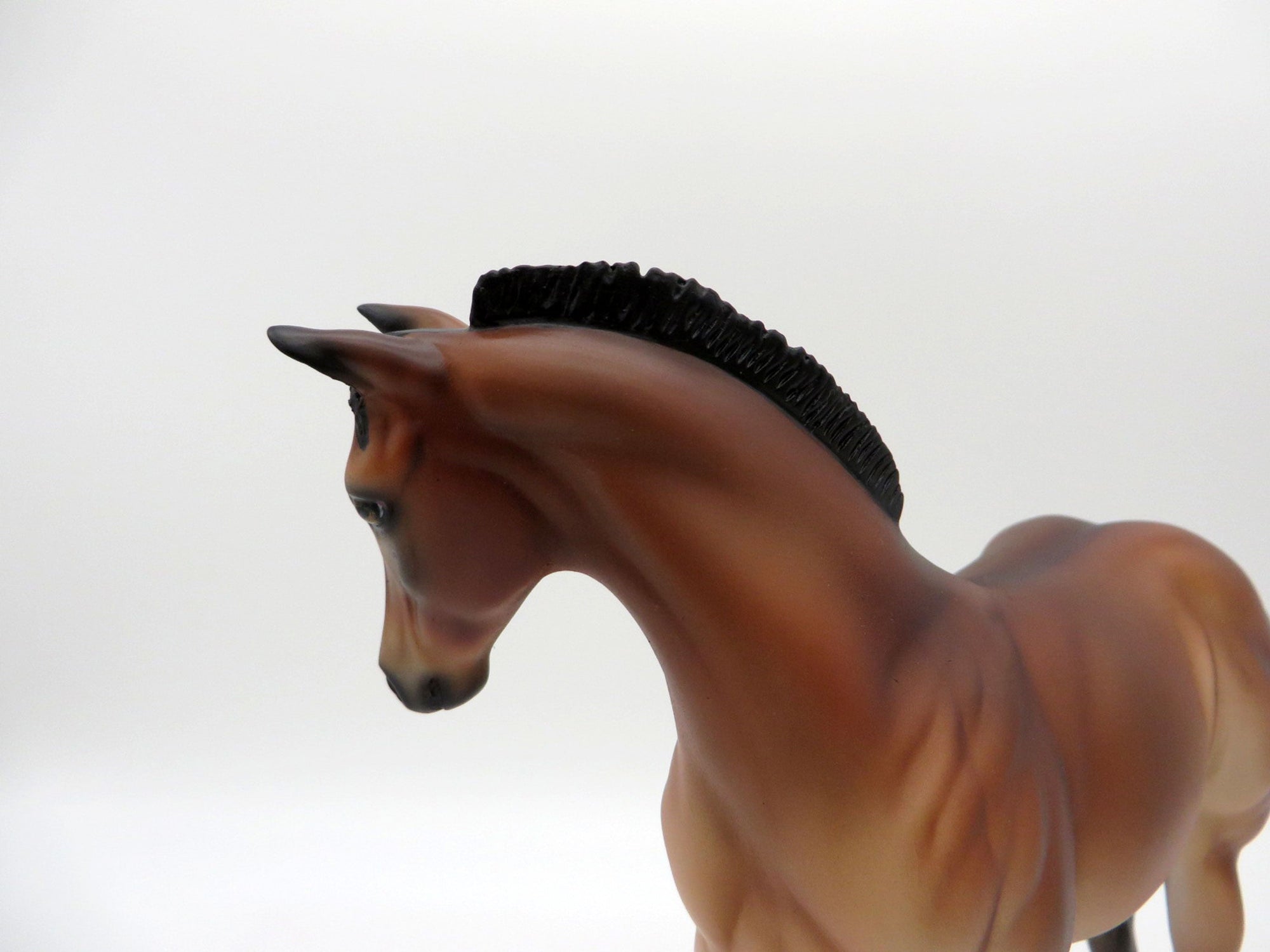 Kai-OOAK Bay Weanling-SHCF 2021