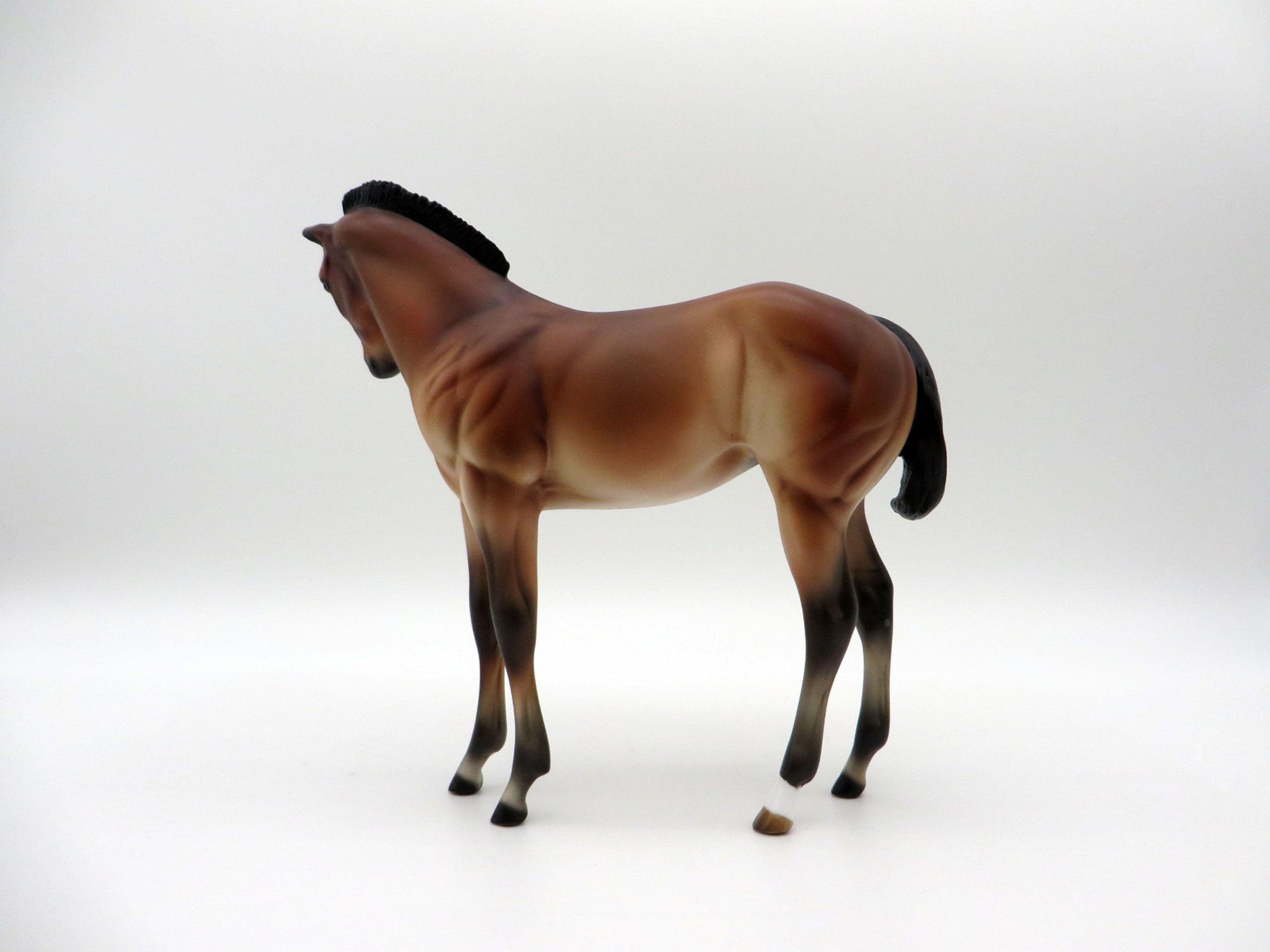 Kai-OOAK Bay Weanling-SHCF 2021