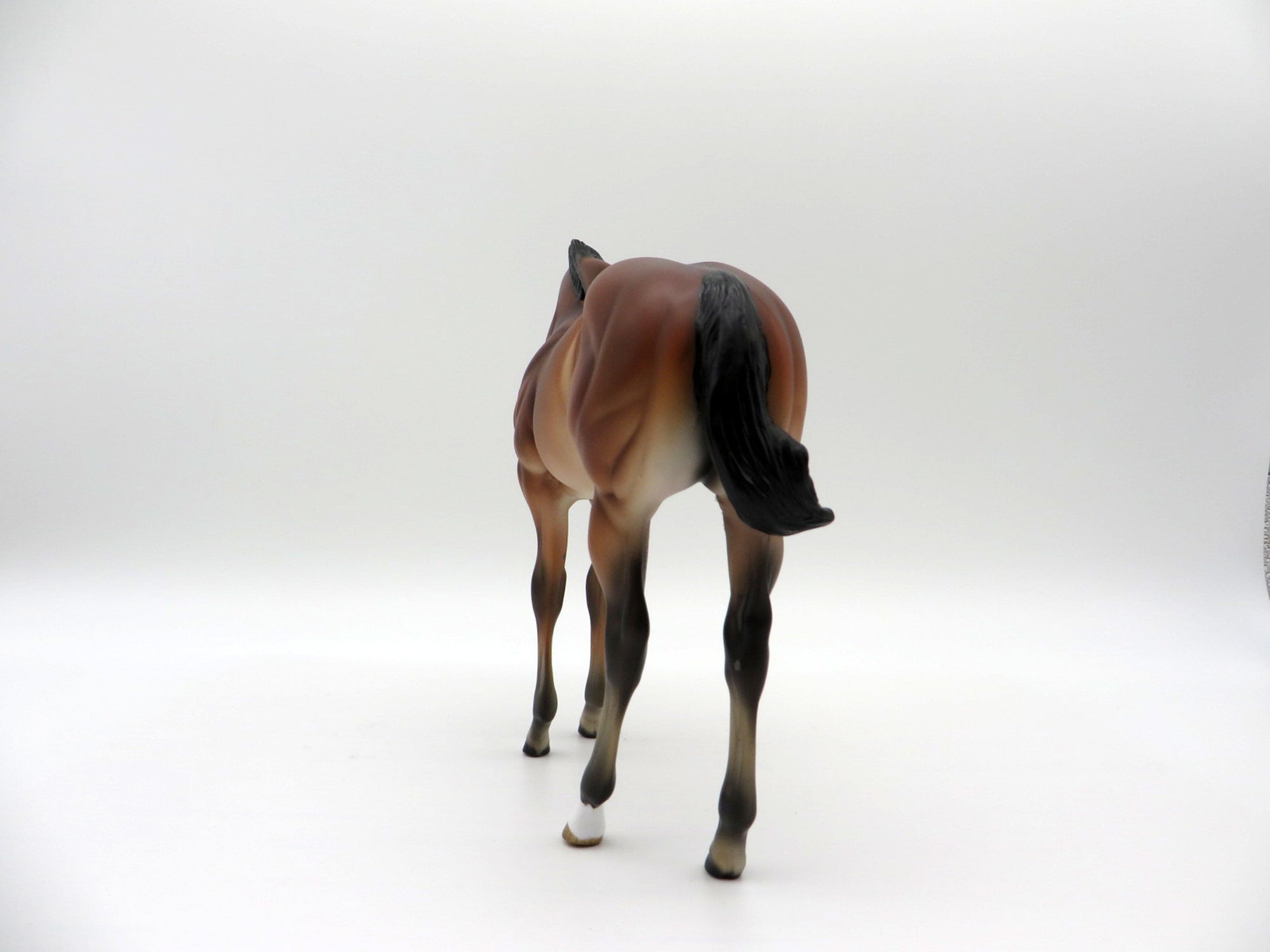 Kai-OOAK Bay Weanling-SHCF 2021