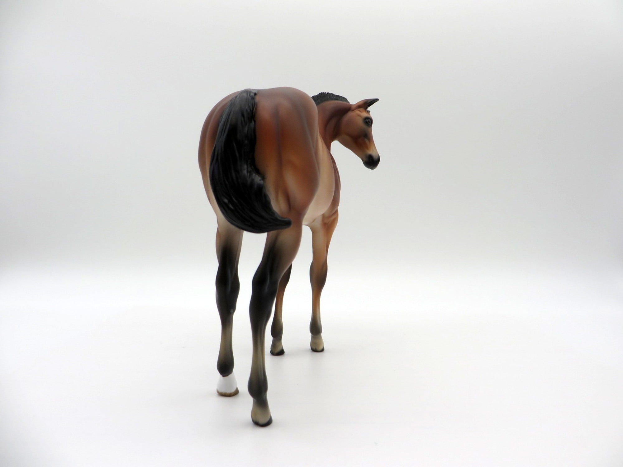 Kai-OOAK Bay Weanling-SHCF 2021