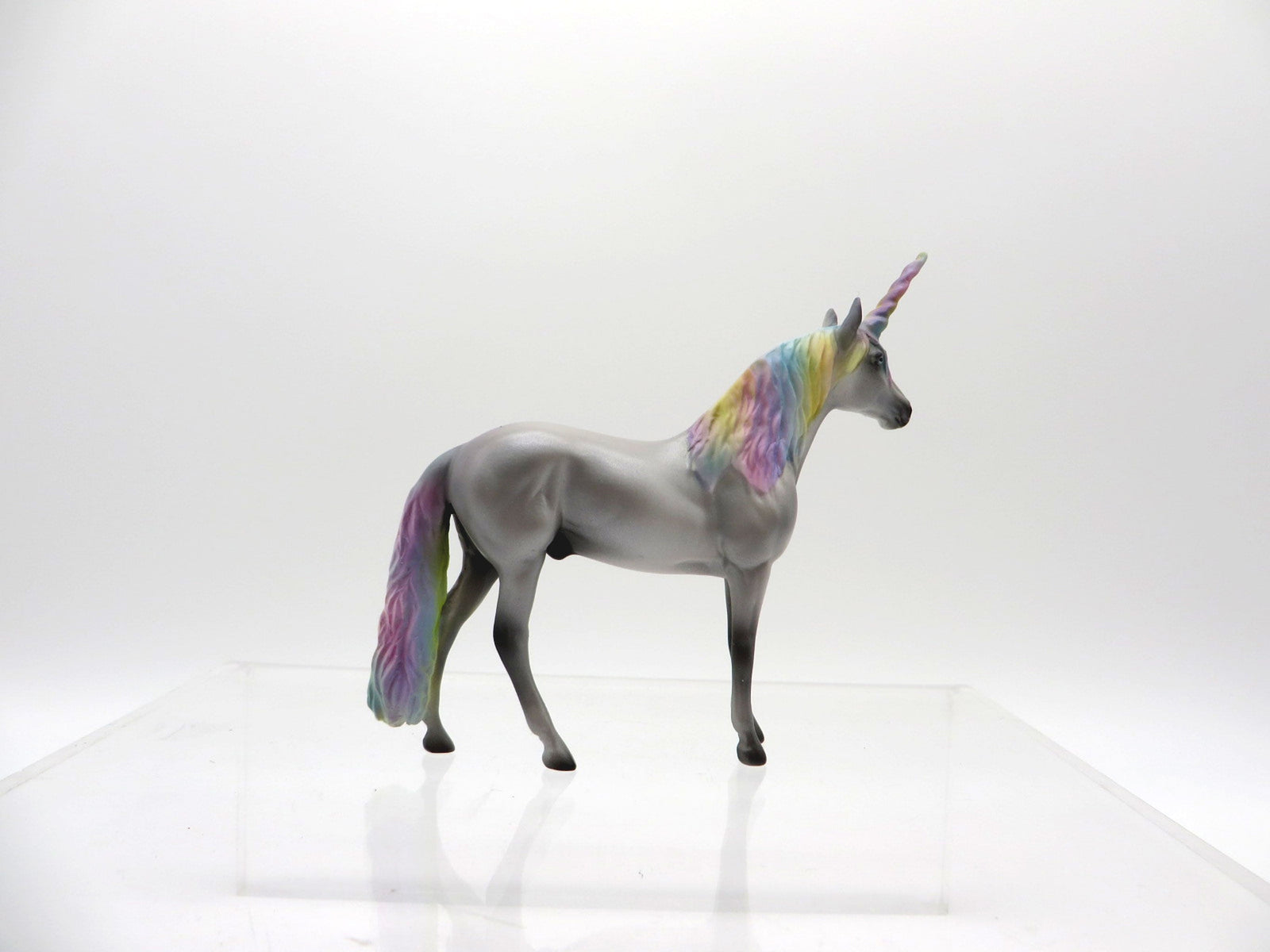 Kalen-OOAK Andalusian Chip 4/9/21 Unicorn Day!