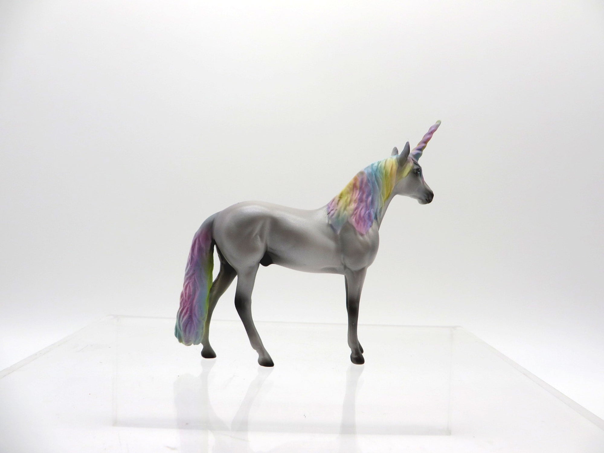 Kalen-OOAK Andalusian Chip 4/9/21 Unicorn Day!