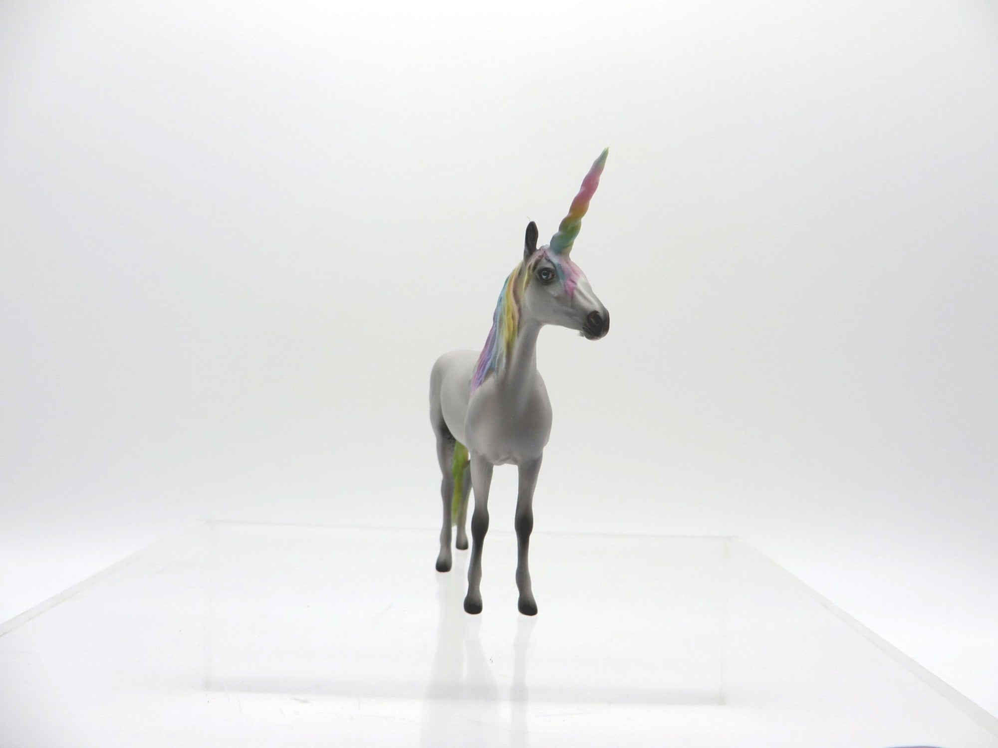 Kalen-OOAK Andalusian Chip 4/9/21 Unicorn Day!