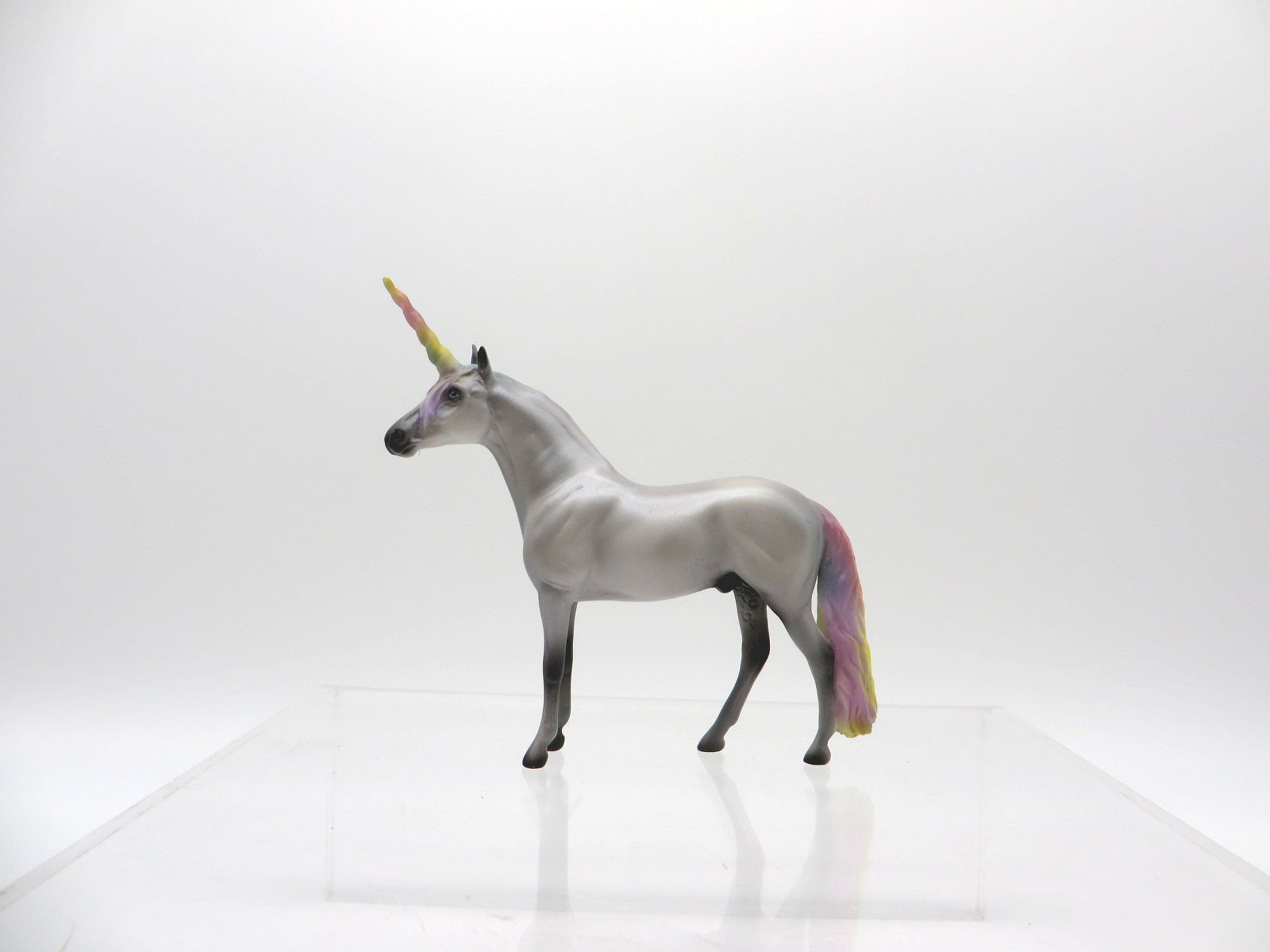 Kalen-OOAK Andalusian Chip 4/9/21 Unicorn Day!