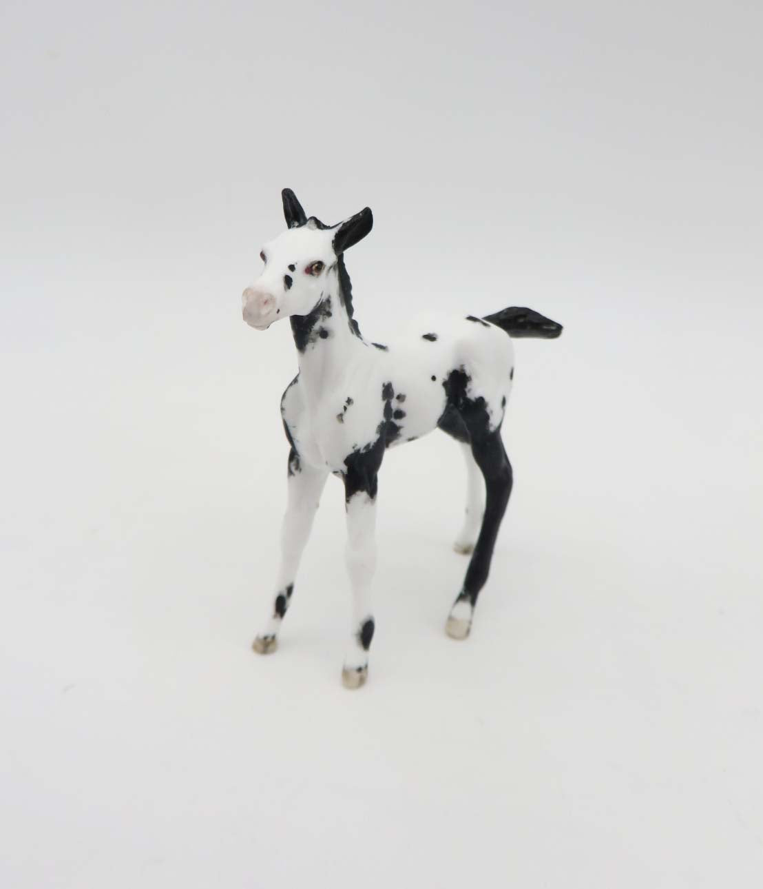 Kalispell - OOAK - Appy Chip Foal By Andrea Thomason - SHCF23