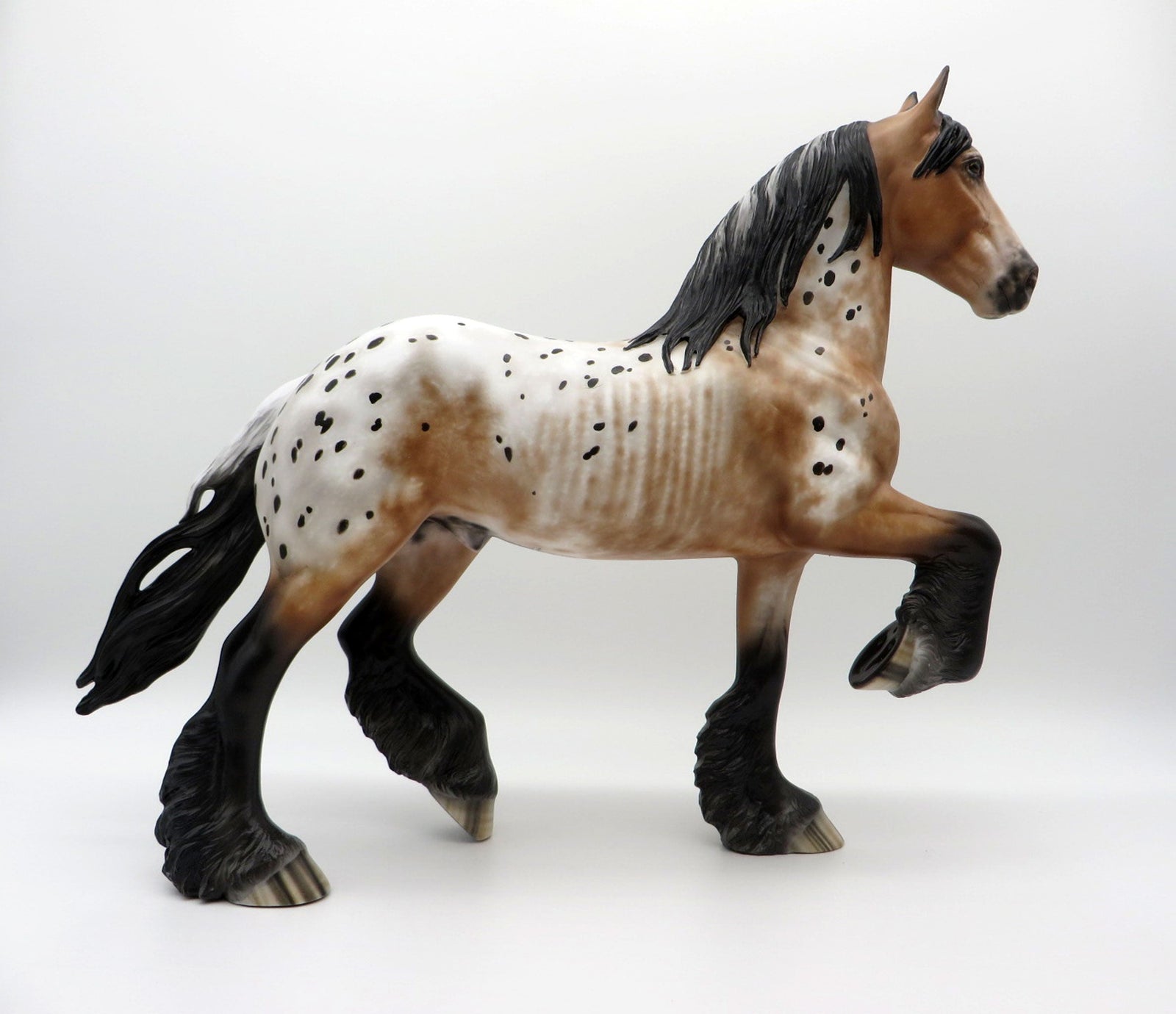 Kamikazee-OOAK Bay Appaloosa Trotting Draft  4/26/21