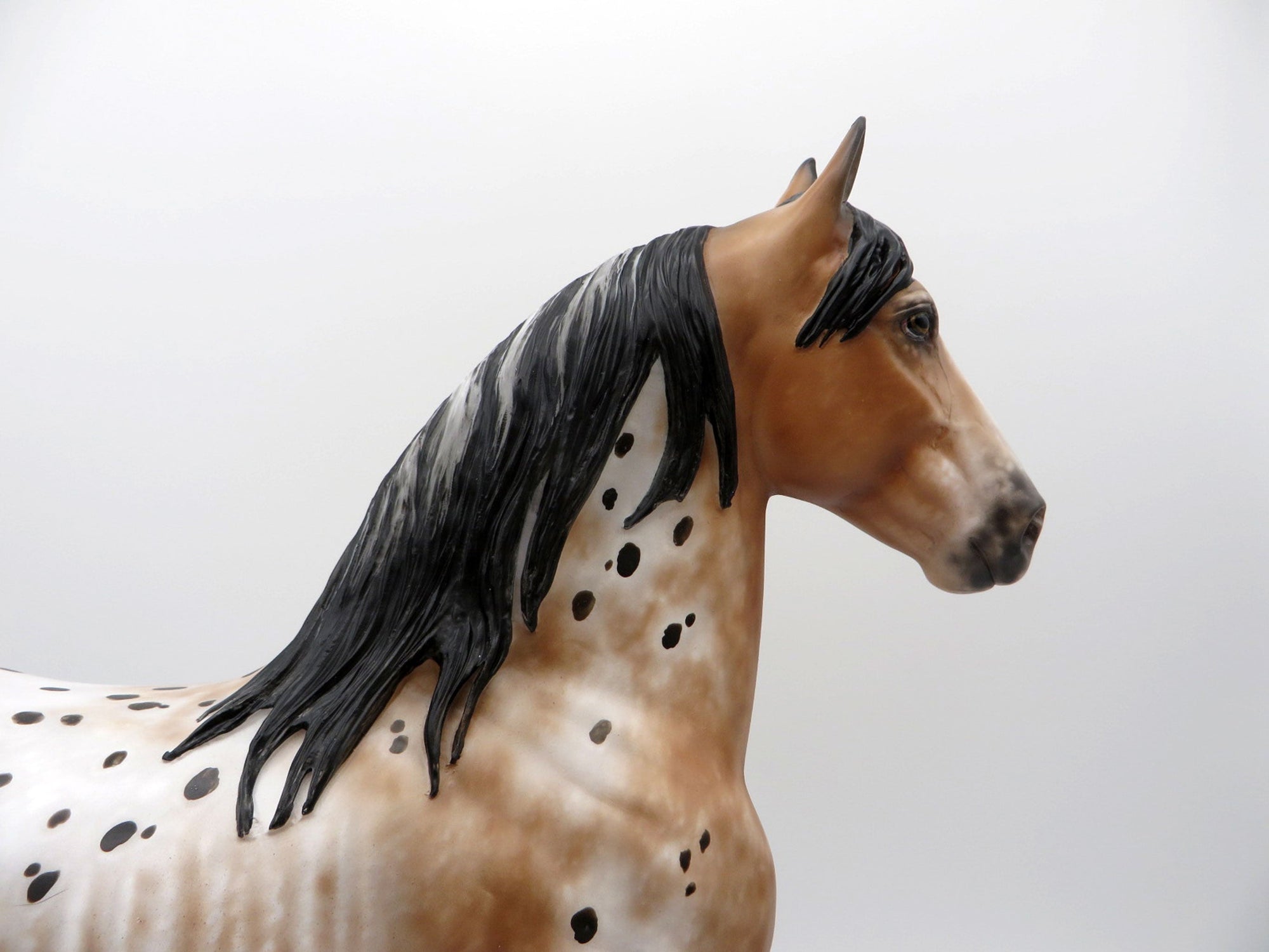 Kamikazee-OOAK Bay Appaloosa Trotting Draft  4/26/21