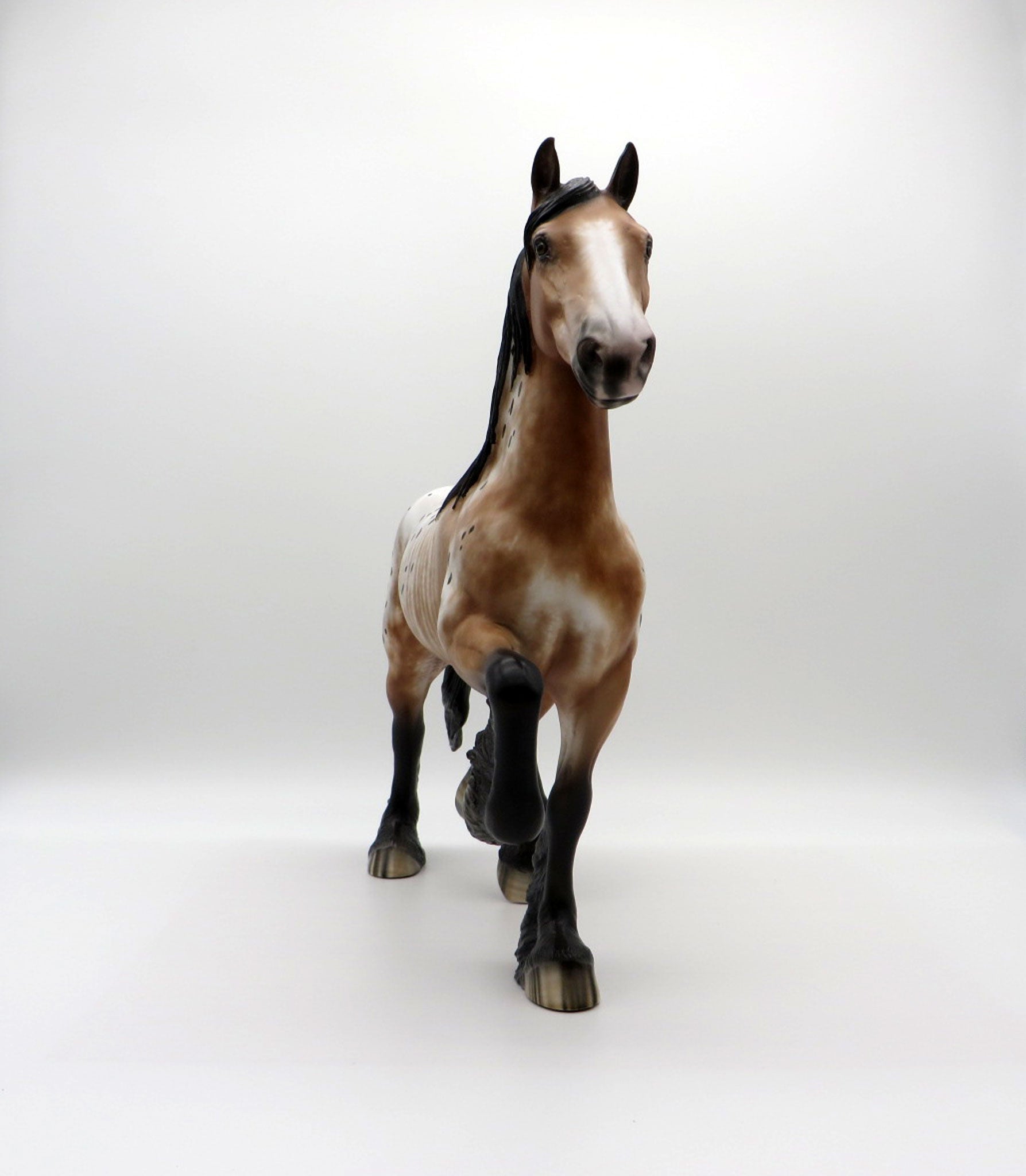 Kamikazee-OOAK Bay Appaloosa Trotting Draft  4/26/21